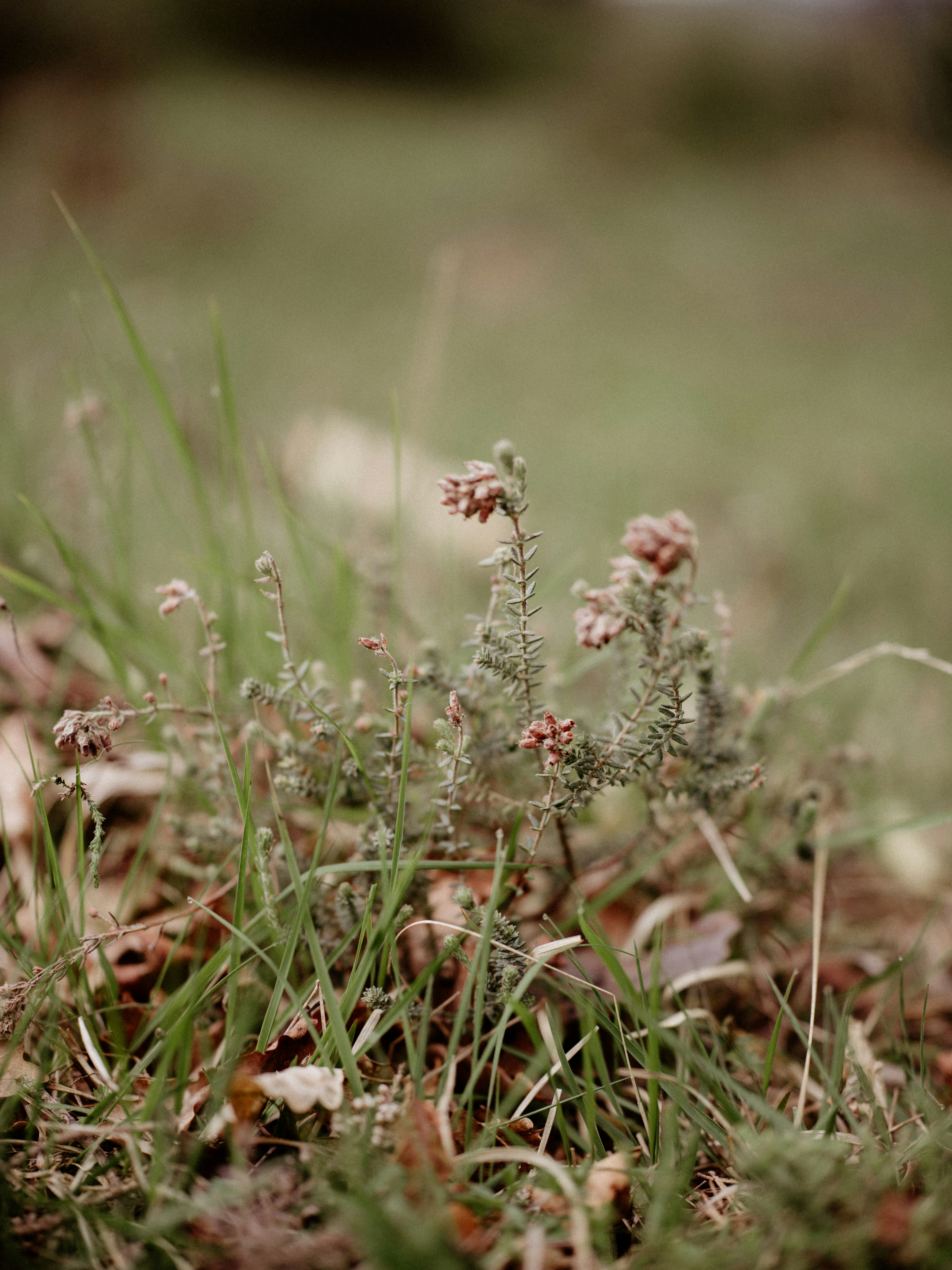 Photo by anniespratt