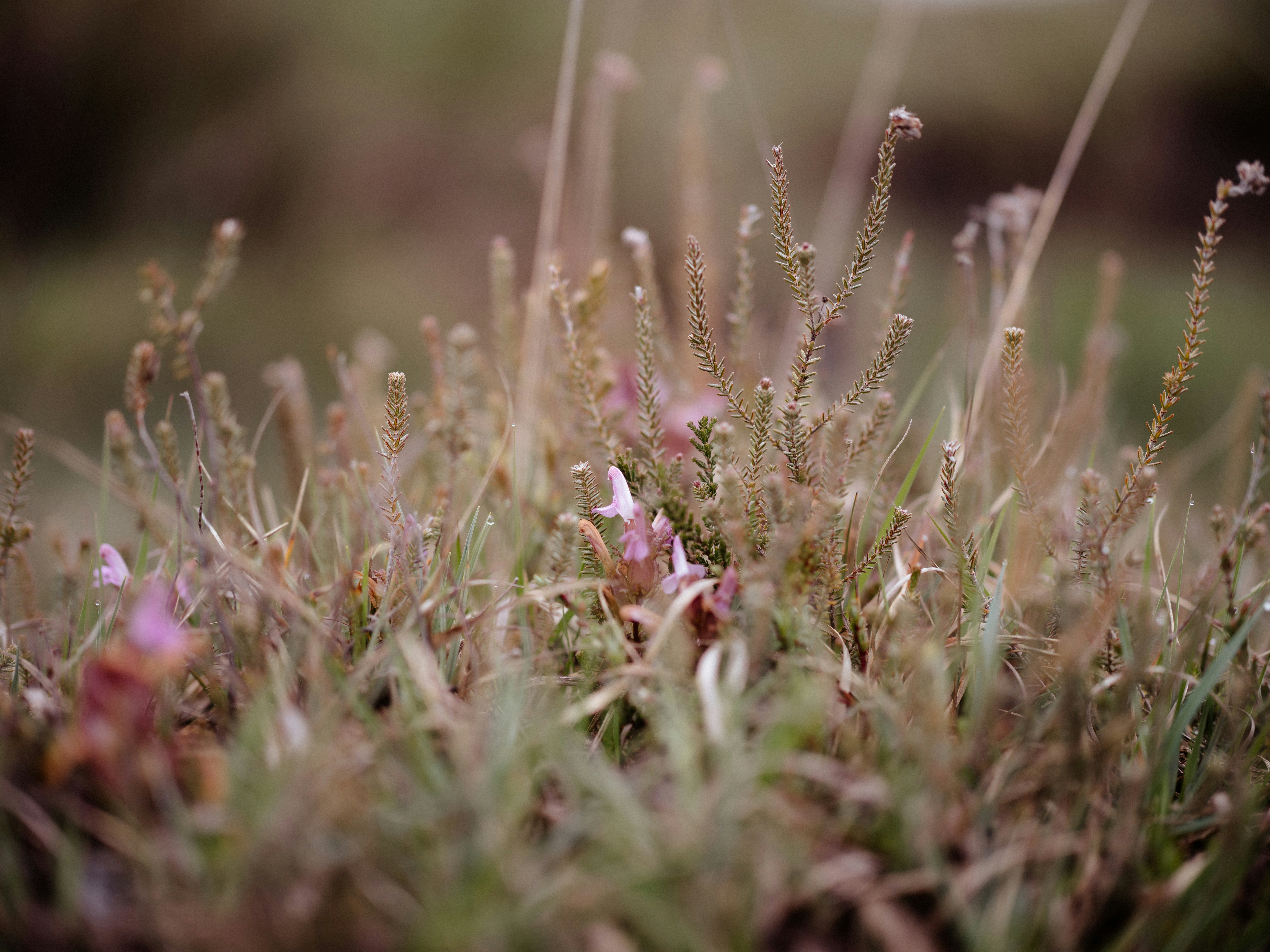 Photo by anniespratt