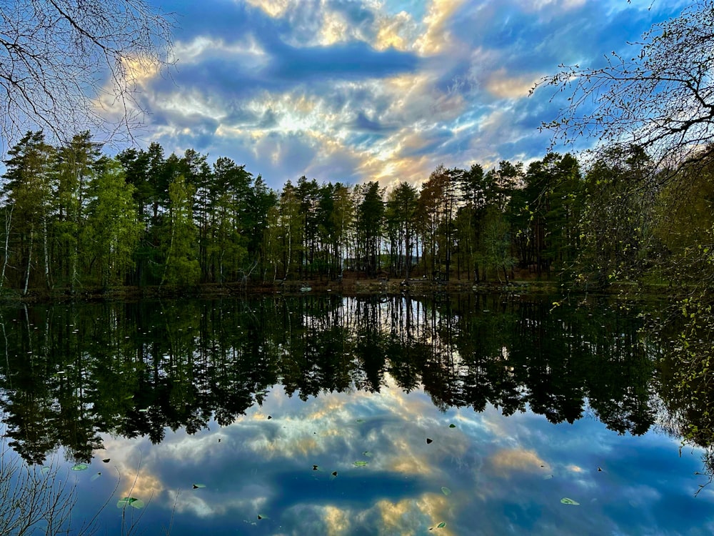 a lake surrounded by trees with clouds in the sky