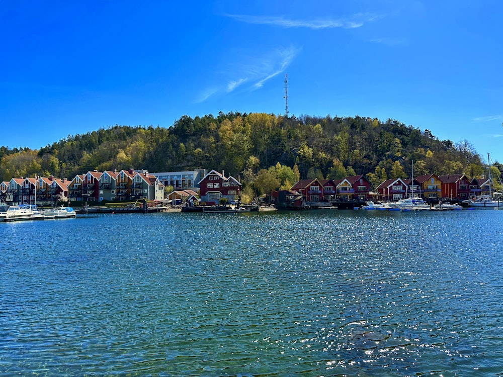 a body of water with a bunch of boats in it