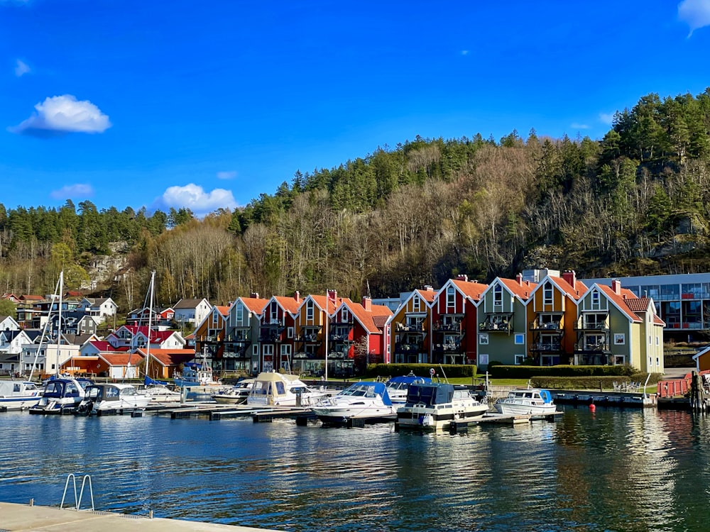 a harbor filled with lots of boats next to a forest