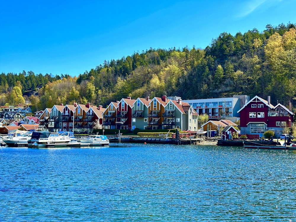 a body of water filled with lots of boats