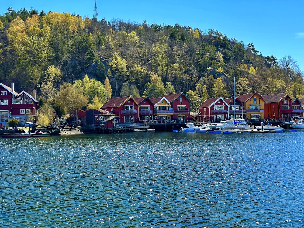 a body of water with a bunch of boats in it