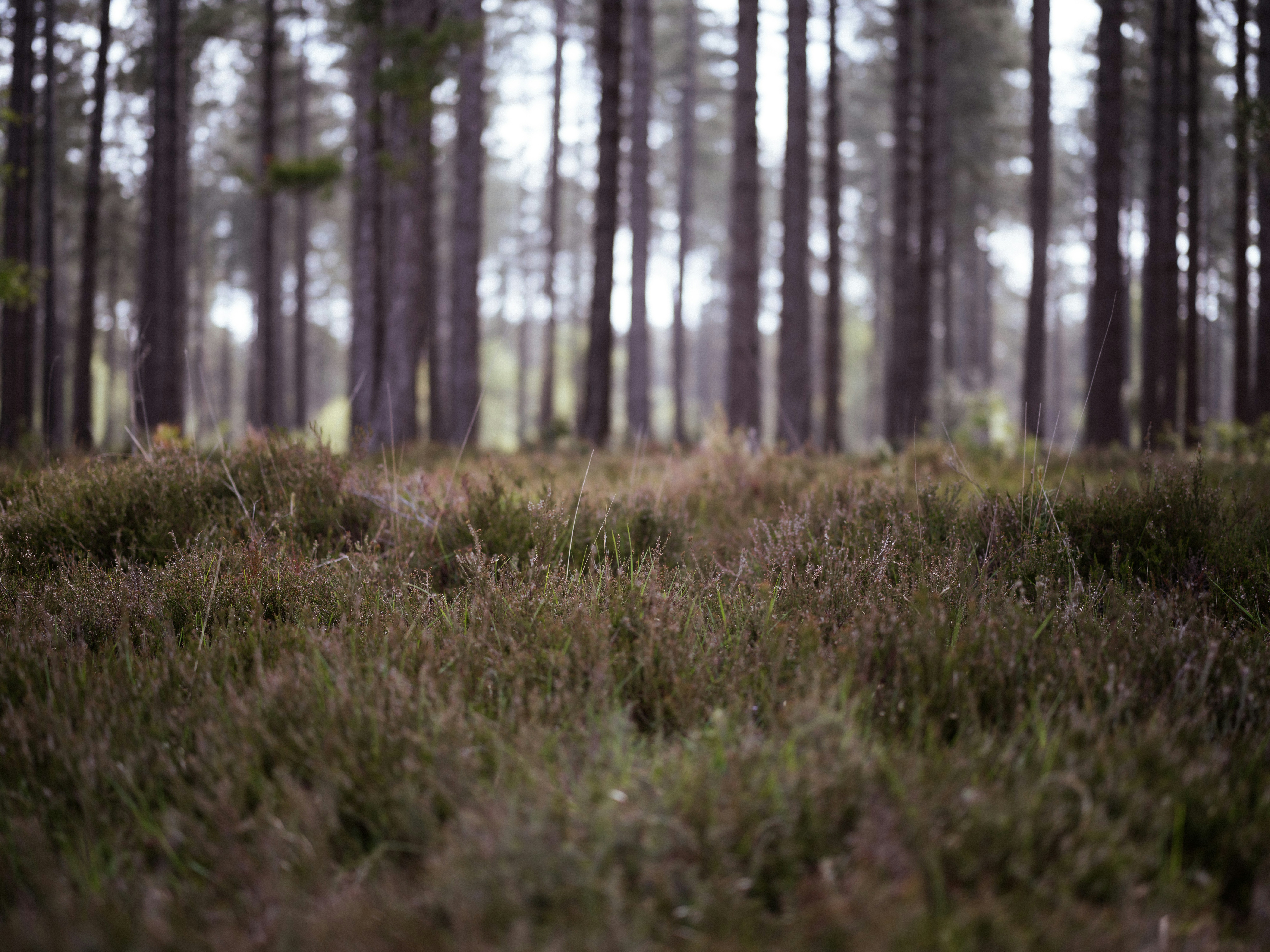 Photo by anniespratt