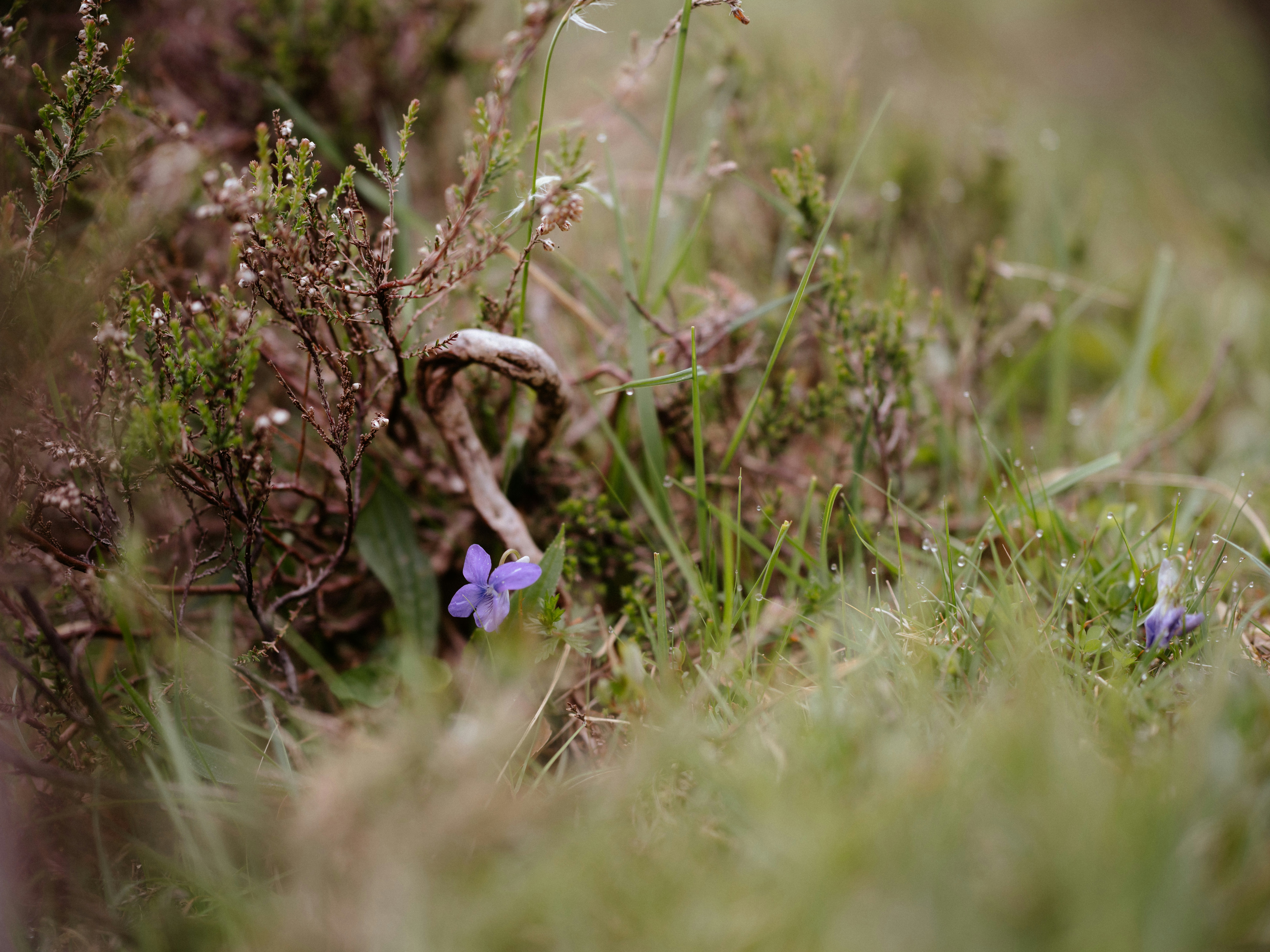 Photo by anniespratt