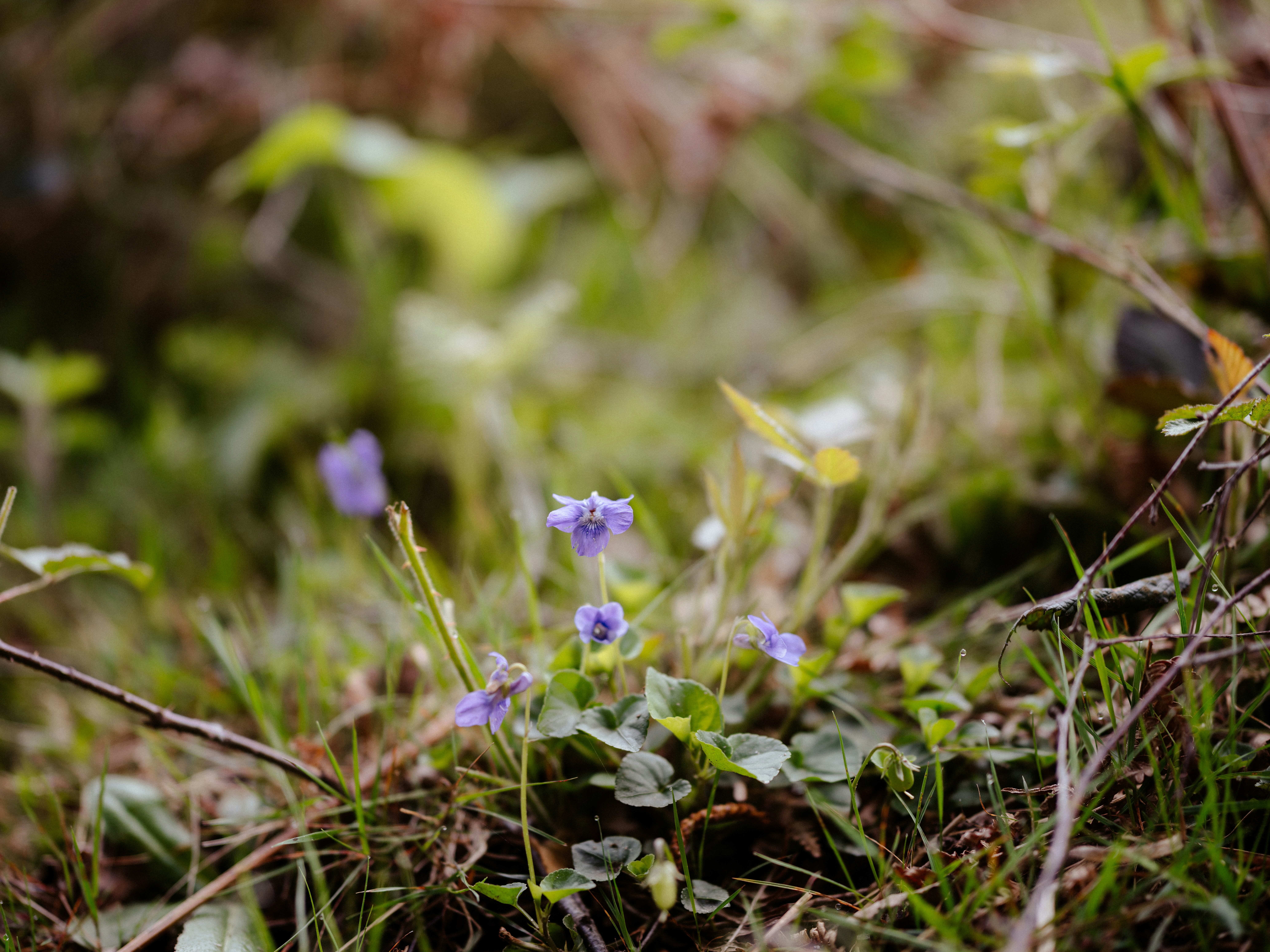 Photo by anniespratt