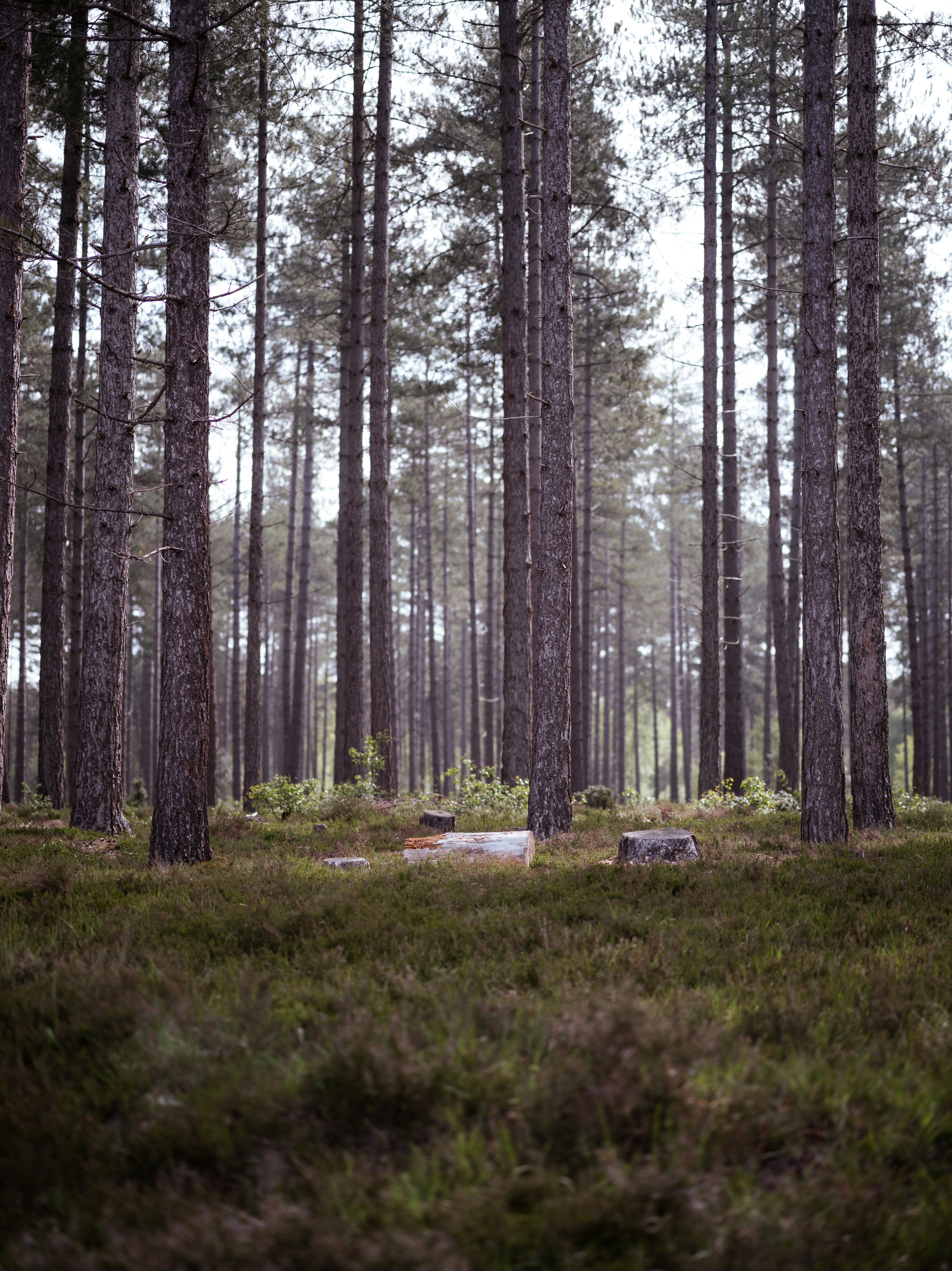 Photo by anniespratt