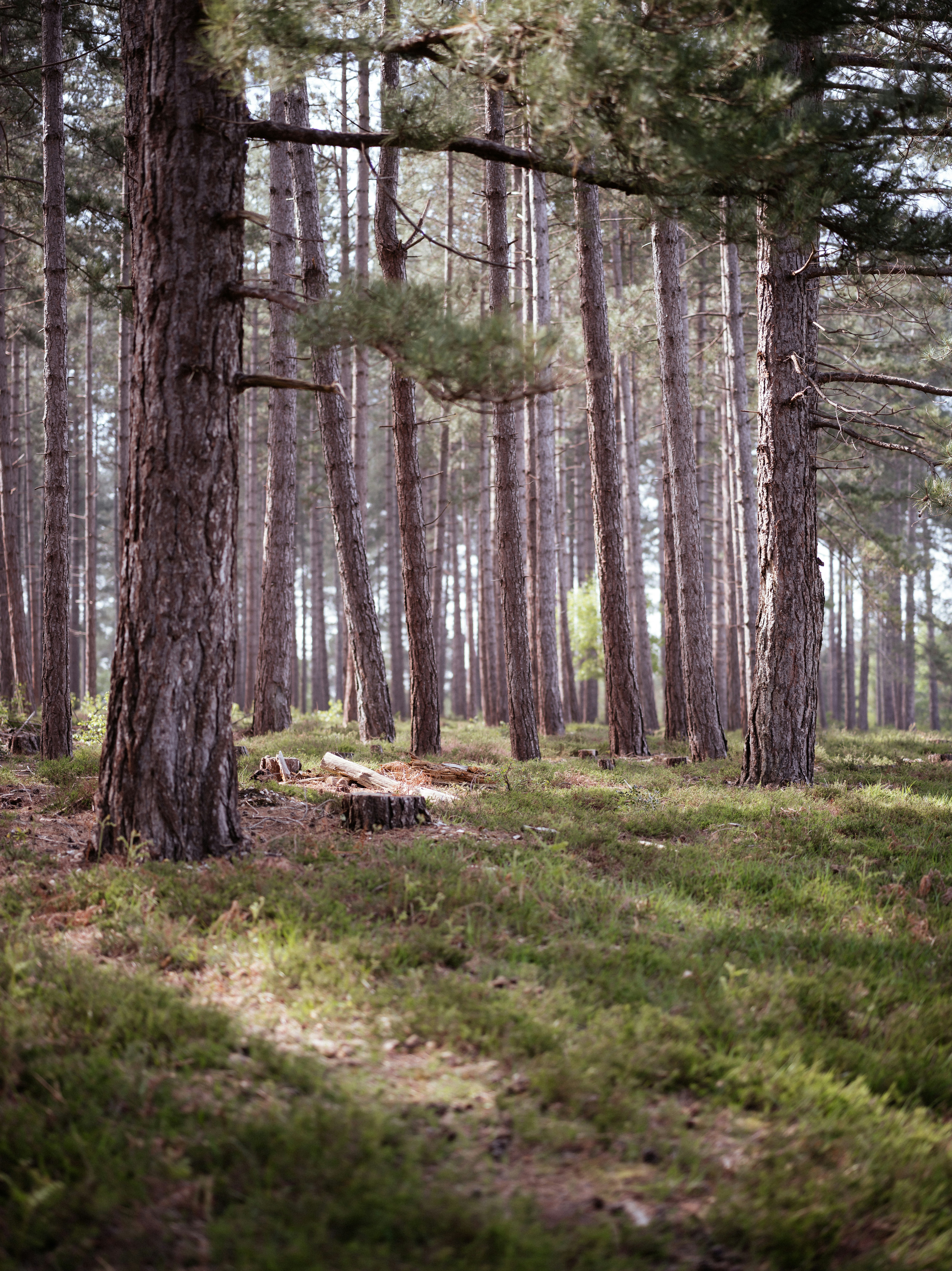 Photo by anniespratt