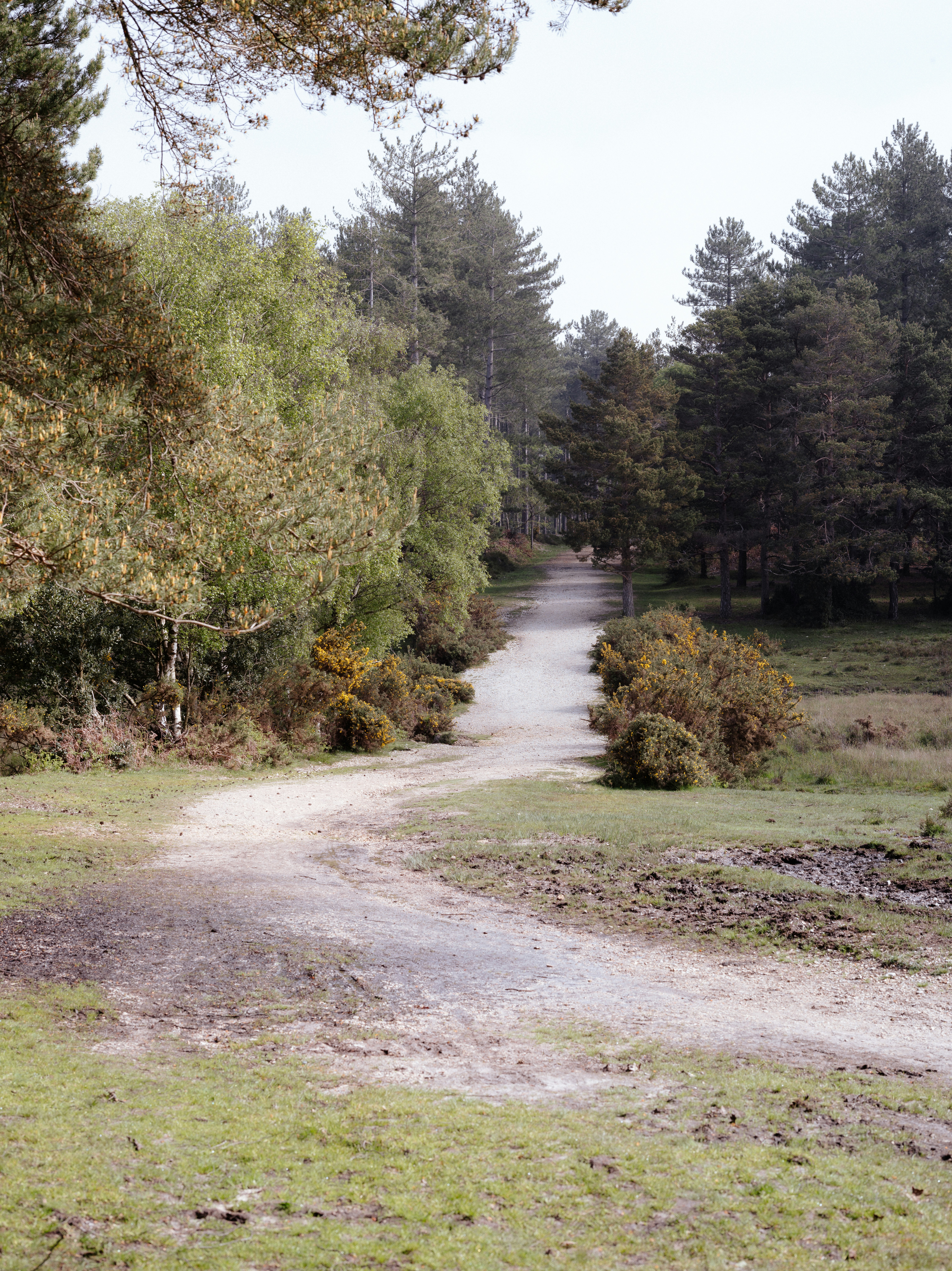 Photo by anniespratt