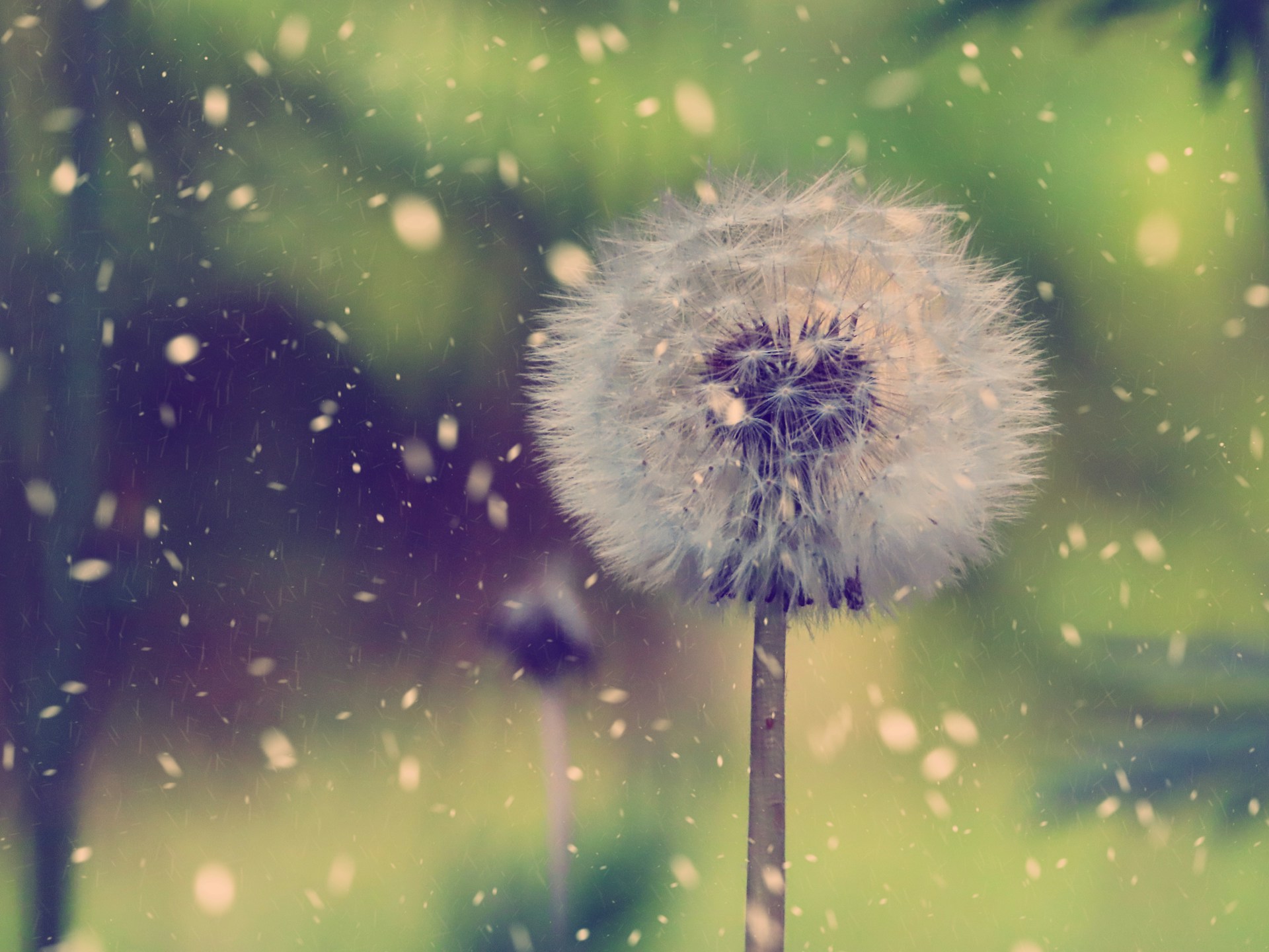 woman wearing yellow long-sleeved dress under white clouds and blue sky during daytime