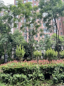 A lush, green landscape with a variety of trees and shrubs in front of a multi-story building. The building has numerous windows, and the foliage features various shades of green with some red-tipped leaves. A small sign is visible among the greenery.