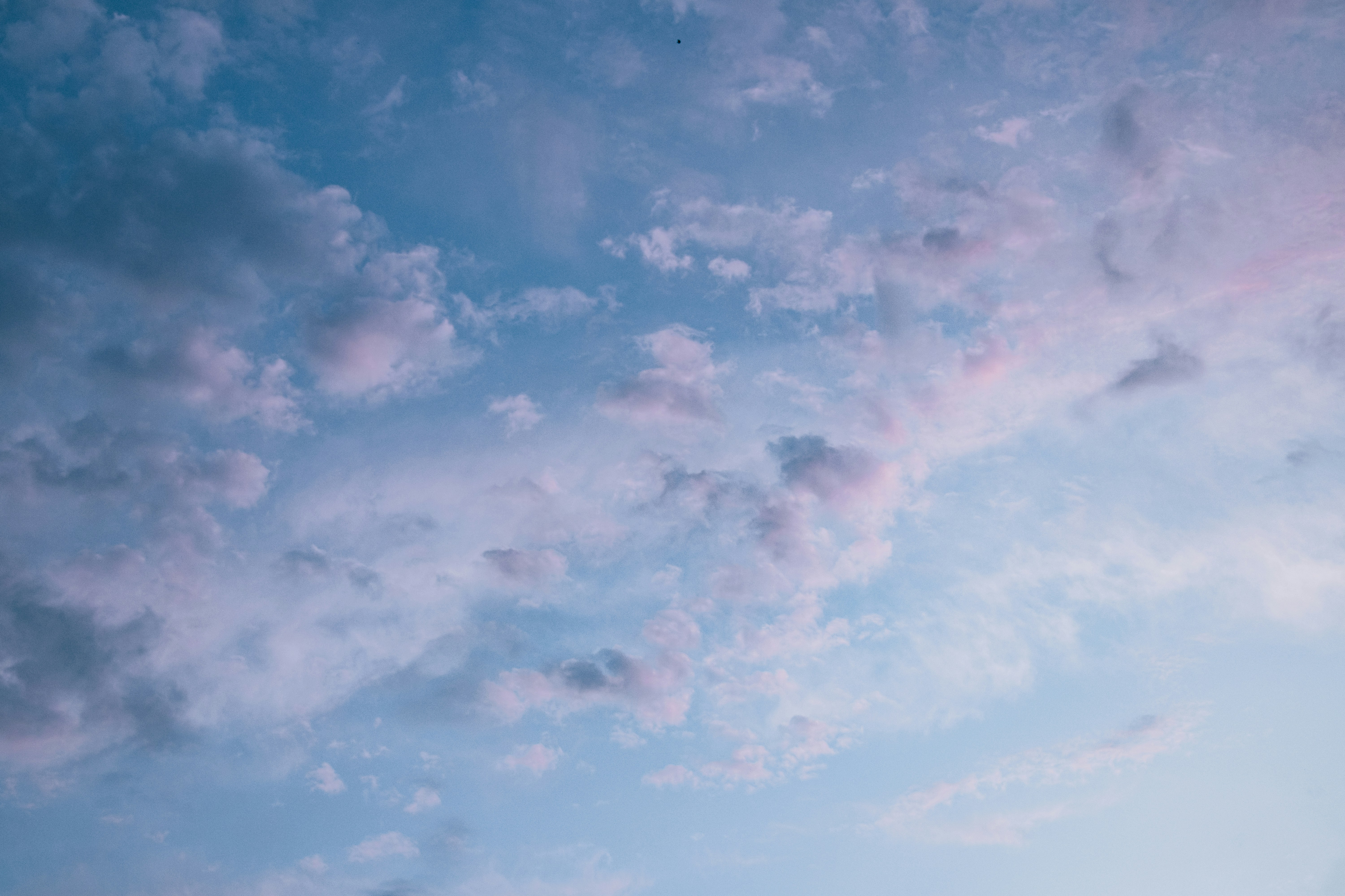 Photo by arashasghari