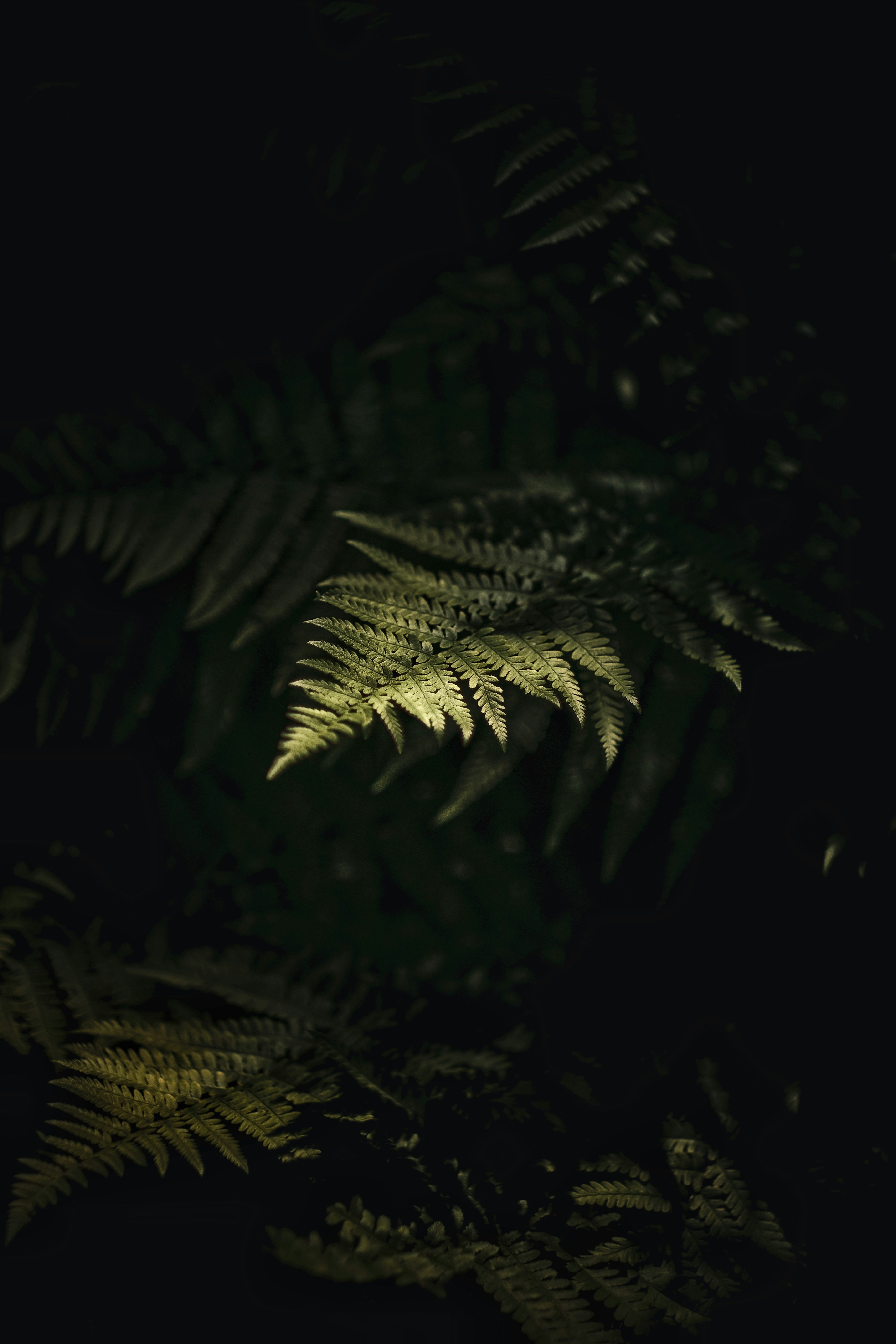 Photo by kevinmueller