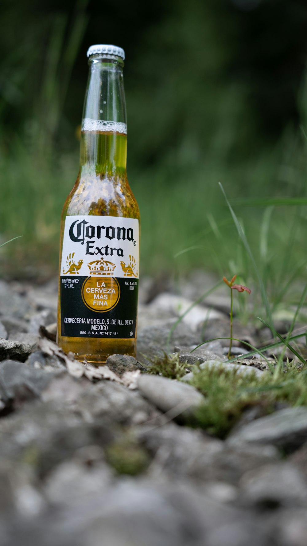 a bottle of corona beer sitting on the ground