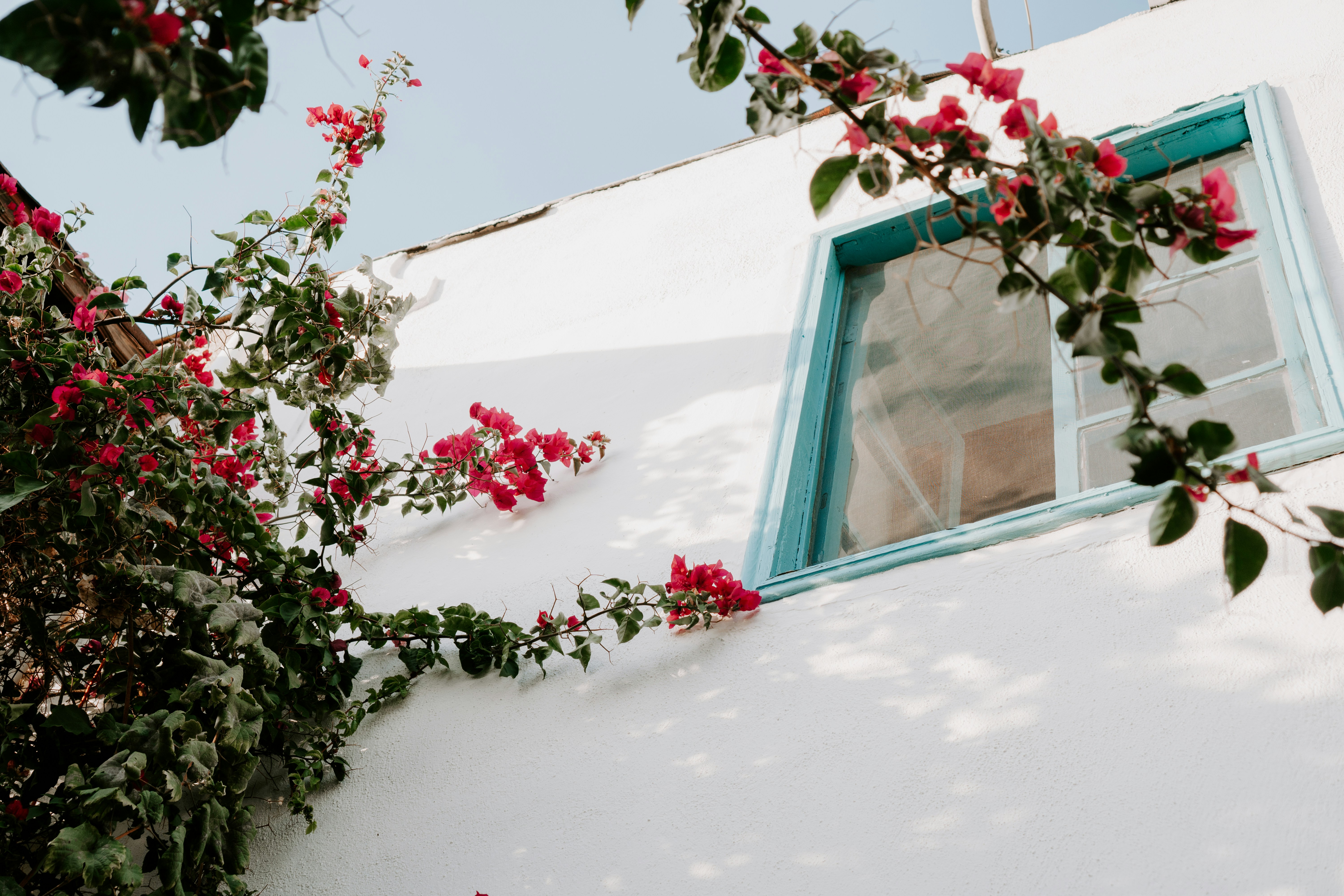 Photo by p_kuzovkova