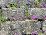 Elegant retaining wall made of natural stone supporting a vibrant flower bed.