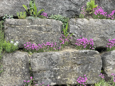 Elegant retaining wall made of natural stone supporting a vibrant flower bed.