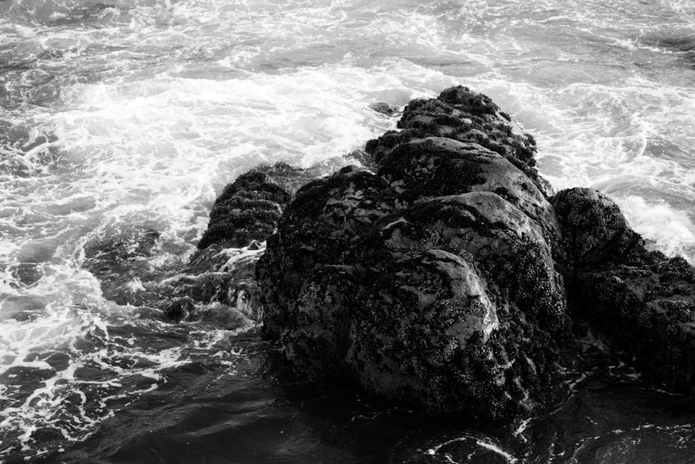 a black and white photo of a rock in the water