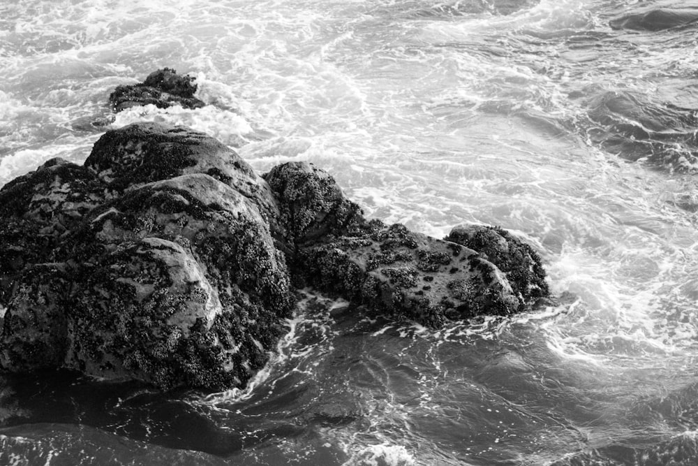 a black and white photo of some rocks in the water