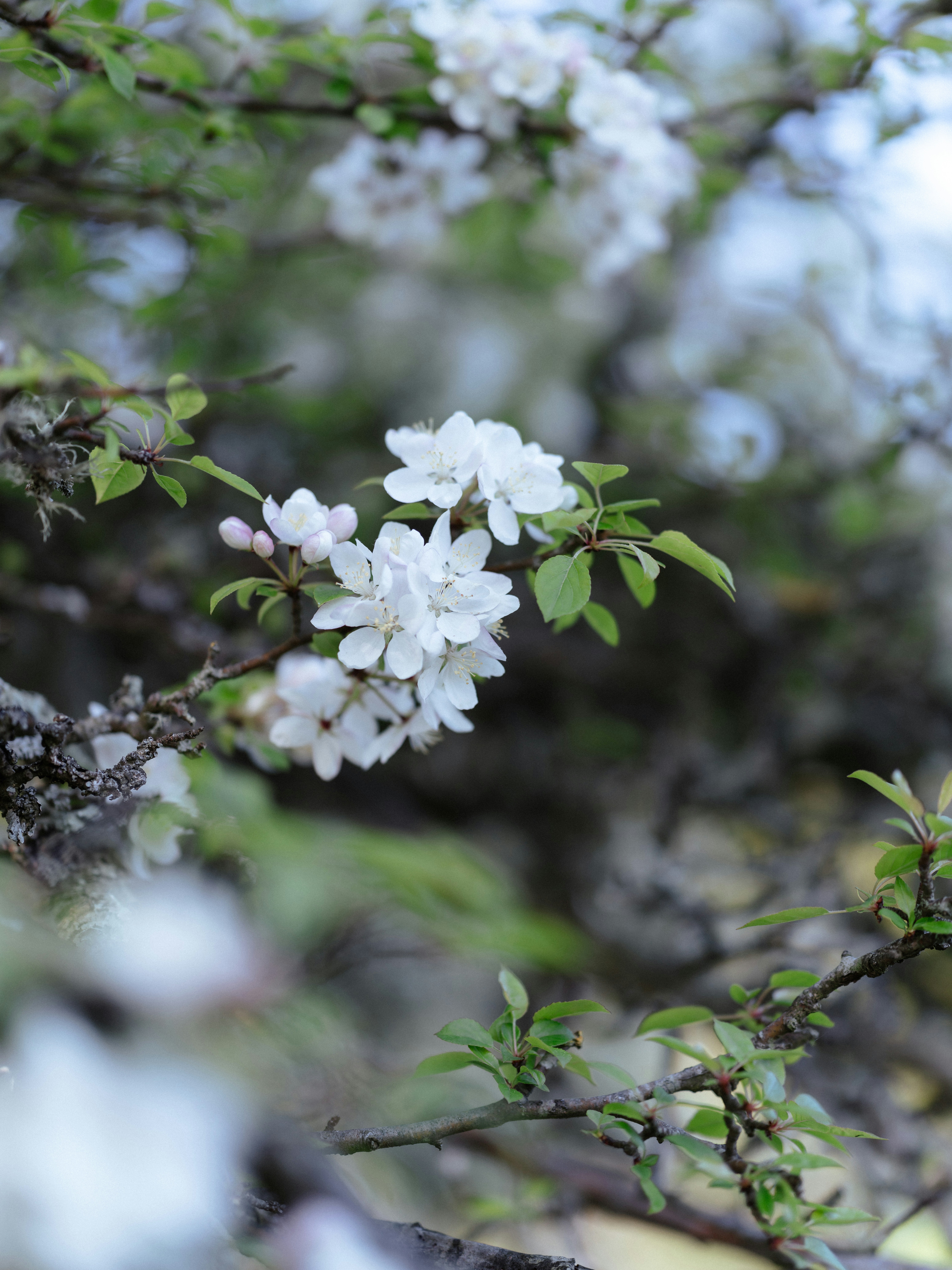 Photo by anniespratt