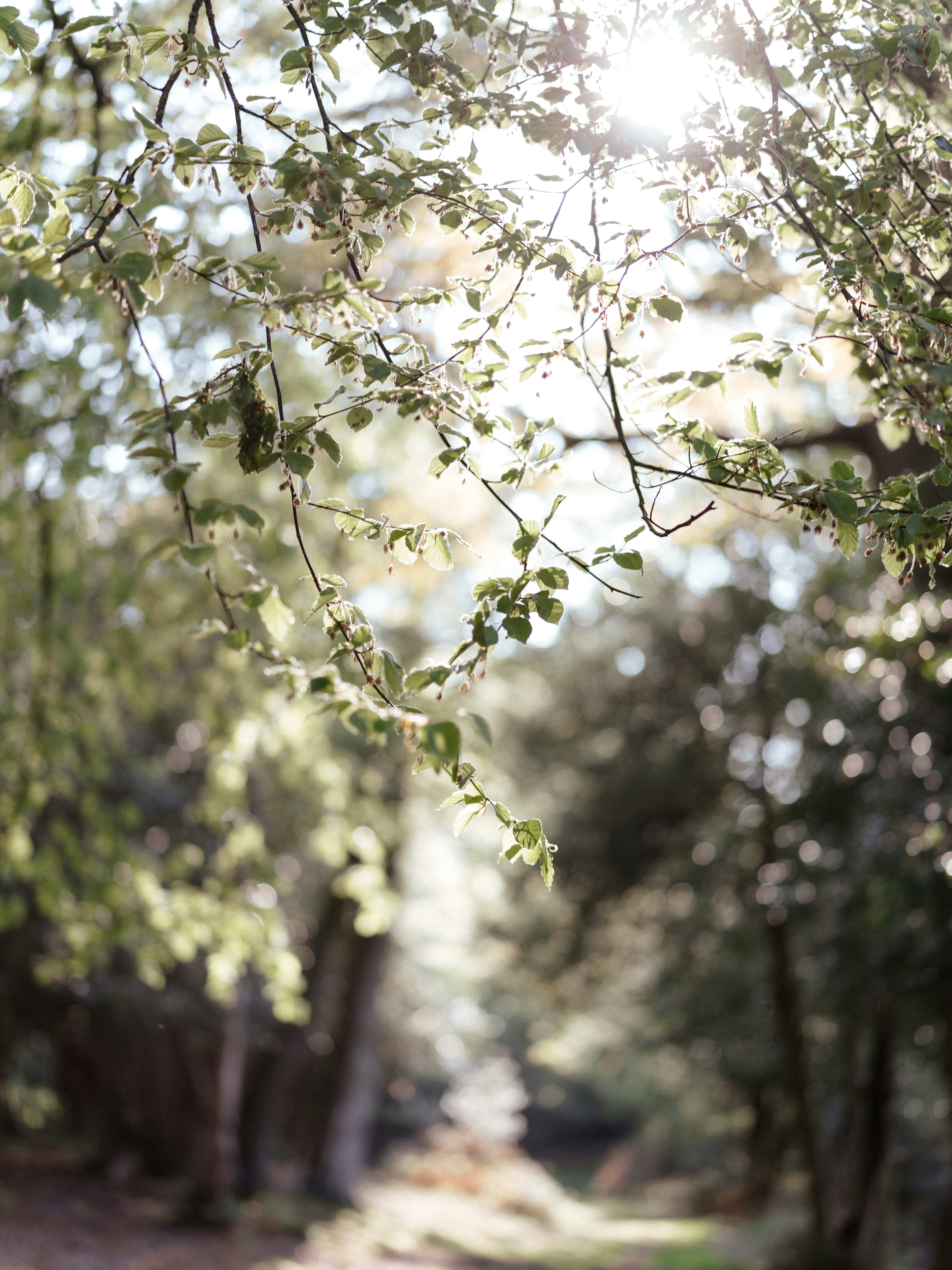 Photo by anniespratt