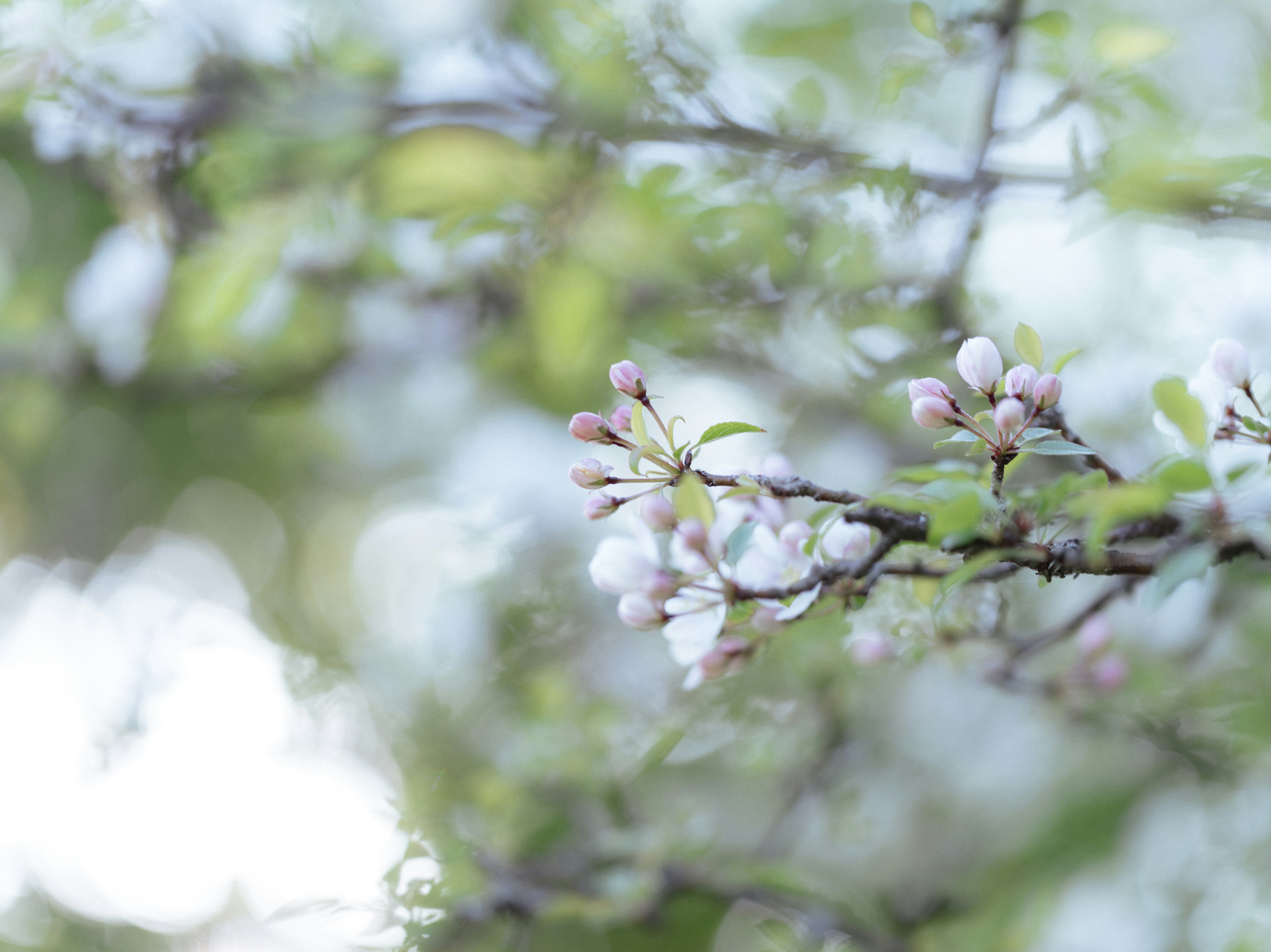 Photo by anniespratt