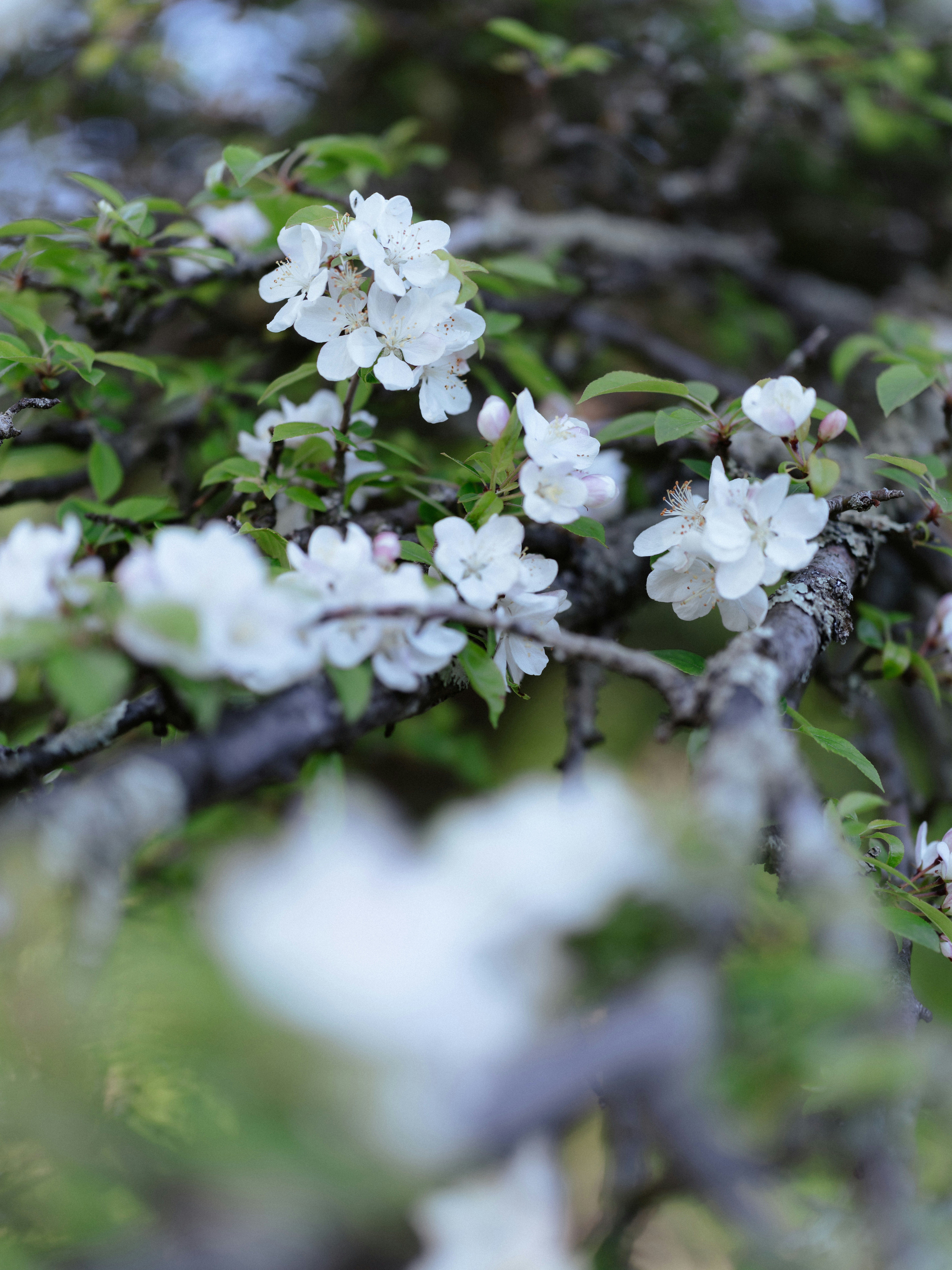 Photo by anniespratt