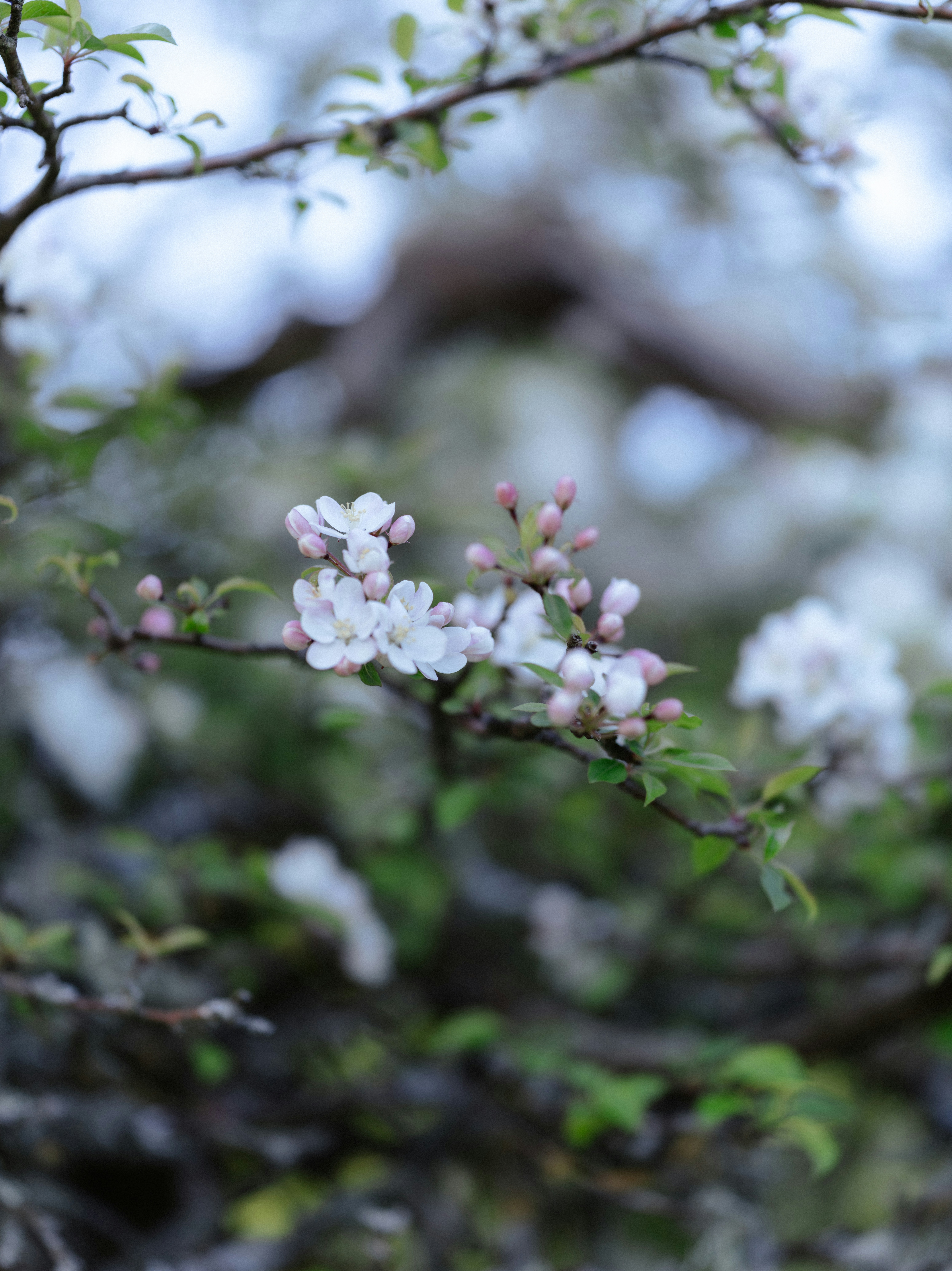 Photo by anniespratt