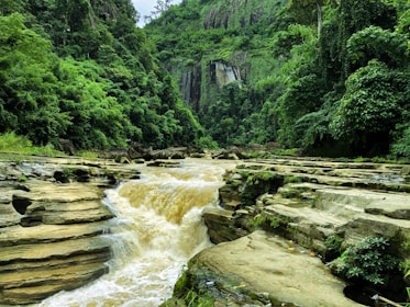 A river flows through a lush forest with a rugged, rocky riverbed. The river has a waterfall that cascades over the rocks, and the background is filled with dense green vegetation and towering trees. The scene appears serene and natural with abundant greenery.