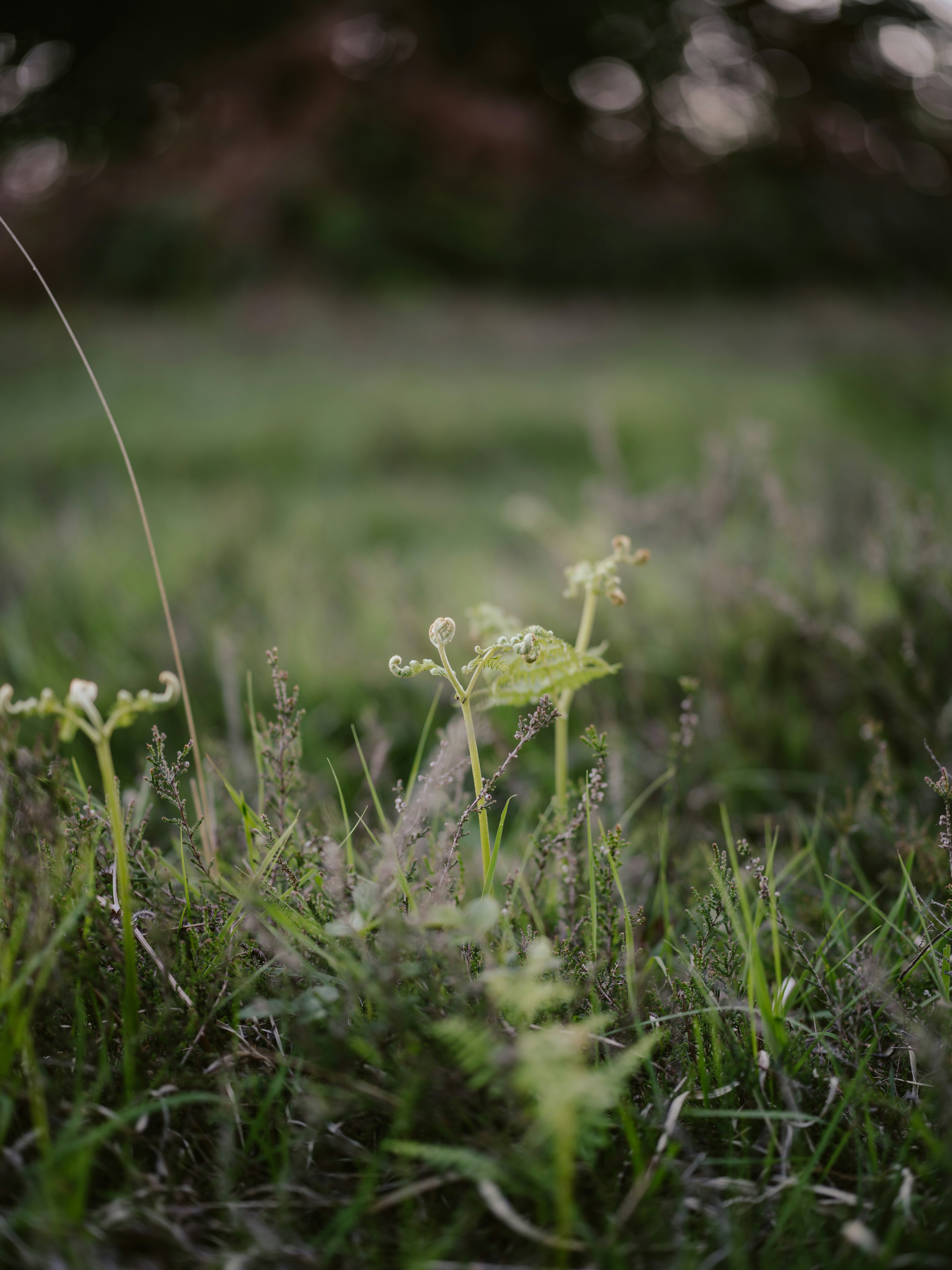 Photo by anniespratt