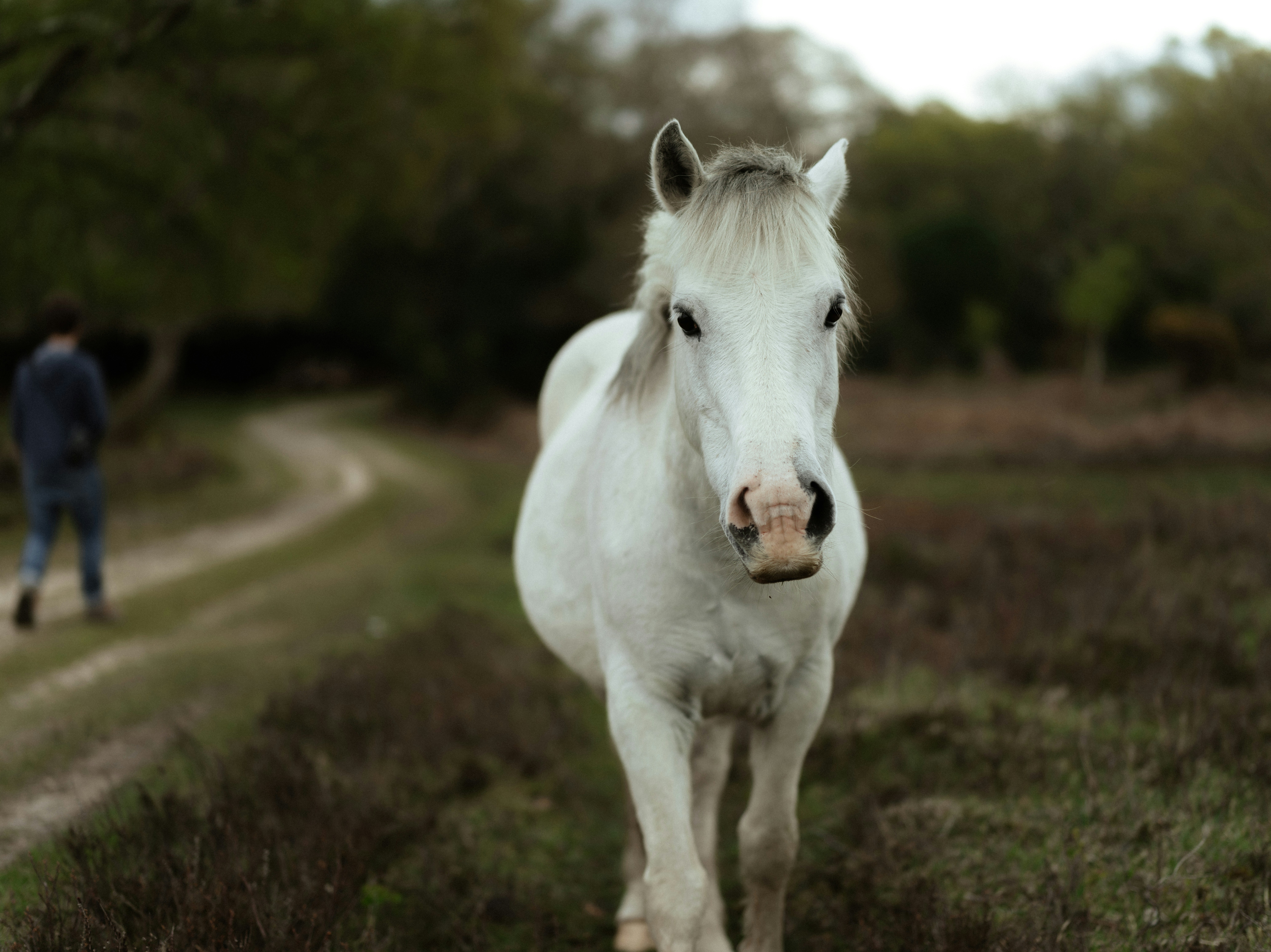 Photo by anniespratt