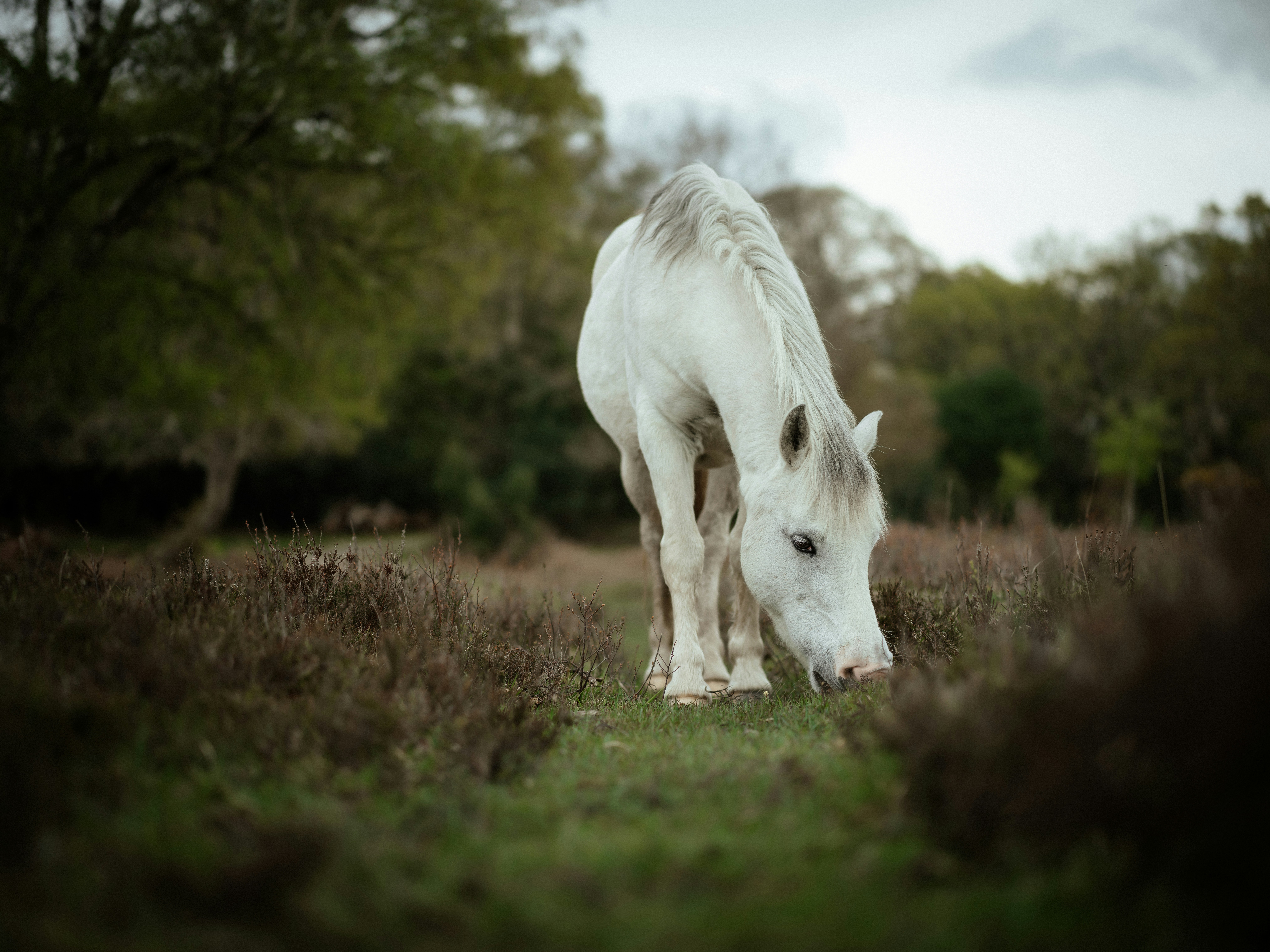 Photo by anniespratt