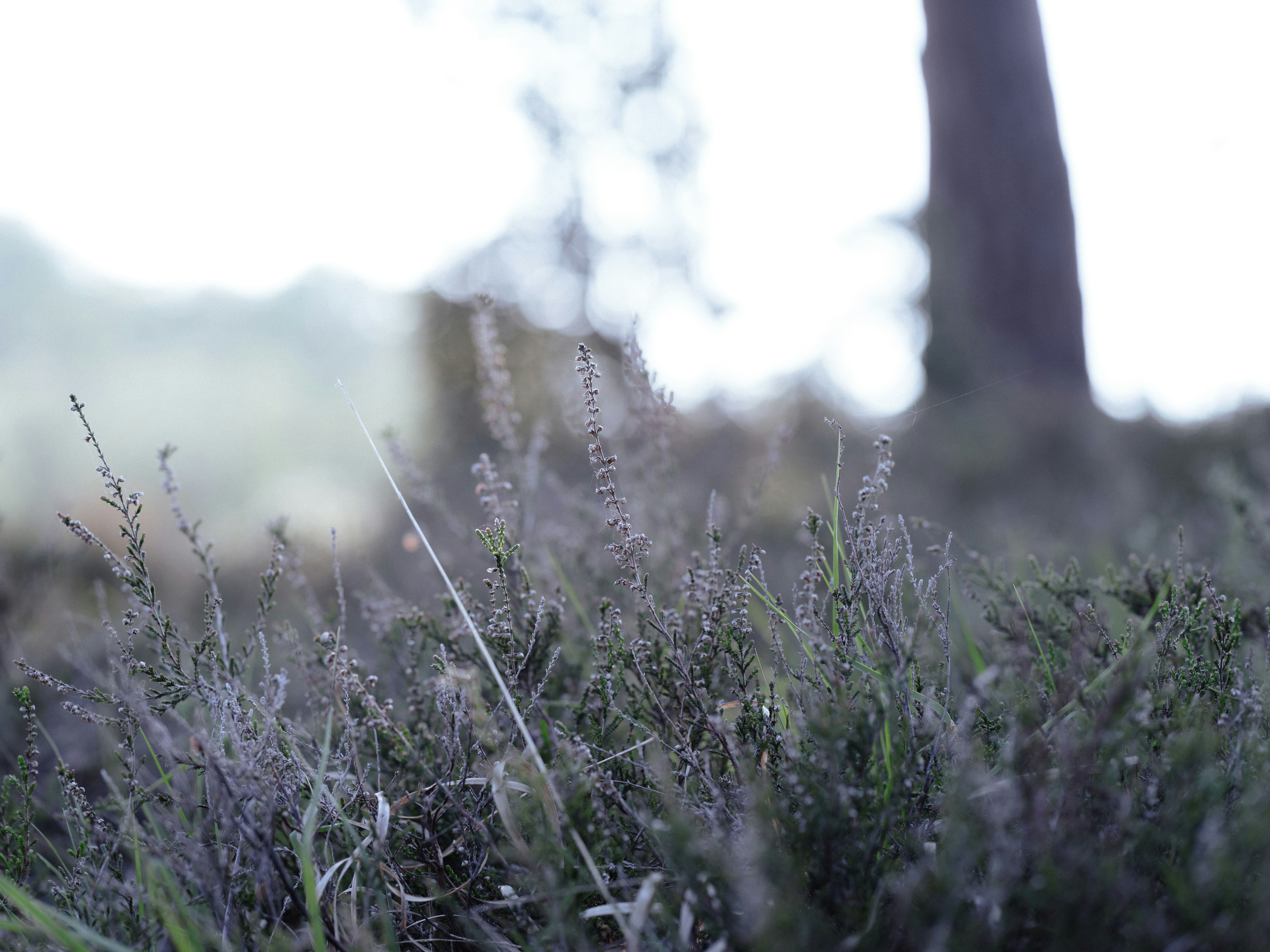 Photo by anniespratt