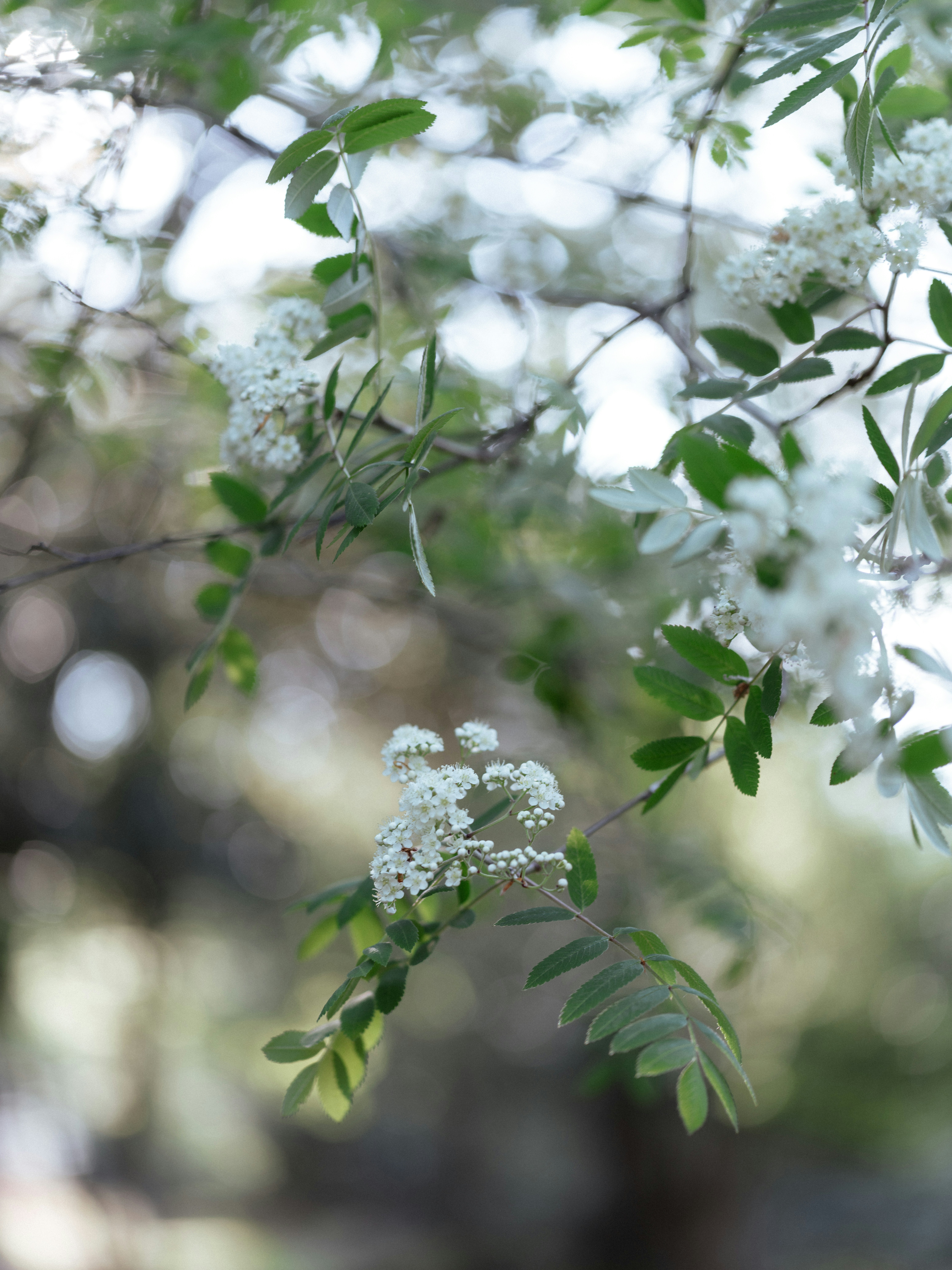 Photo by anniespratt