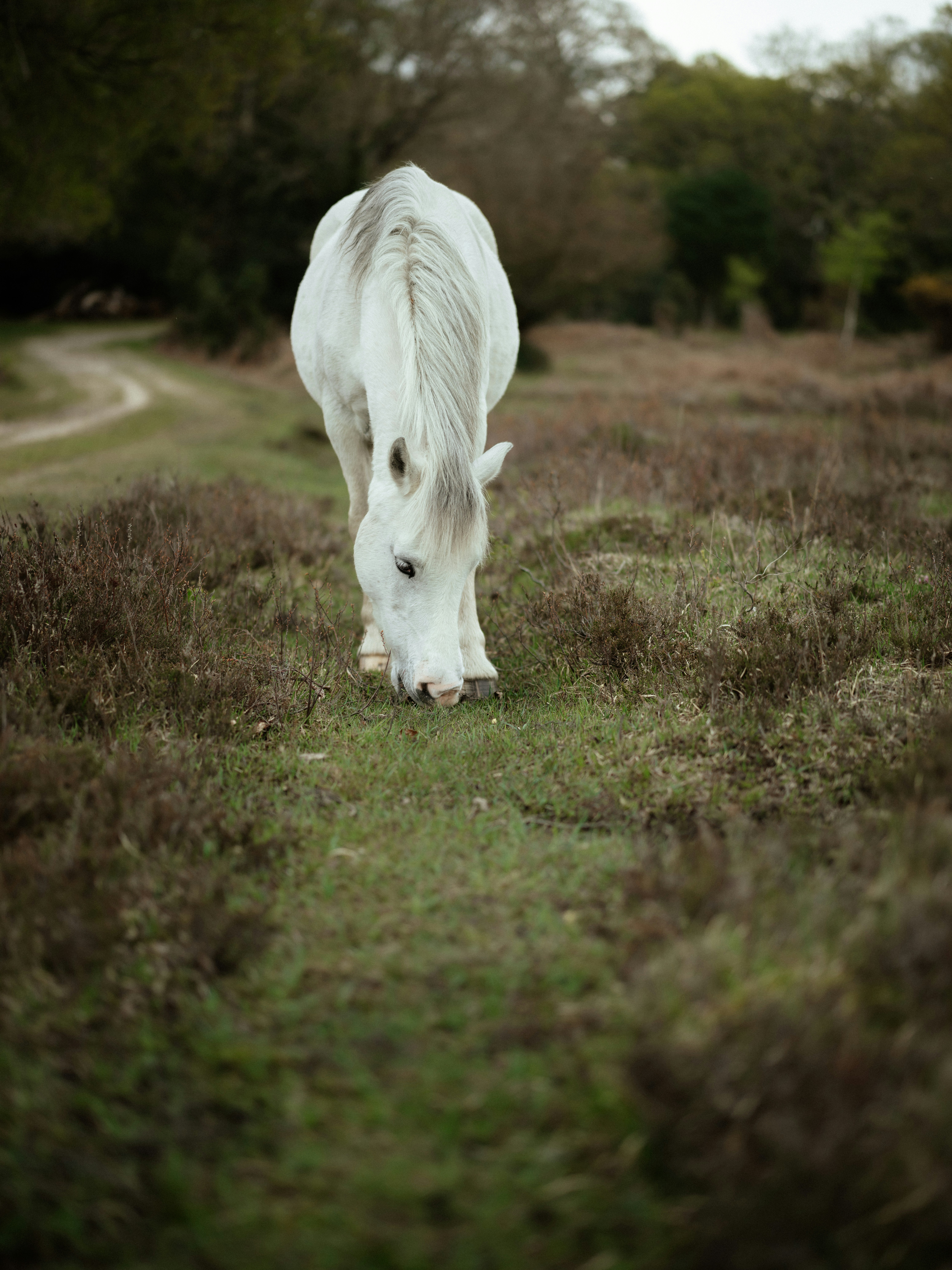 Photo by anniespratt