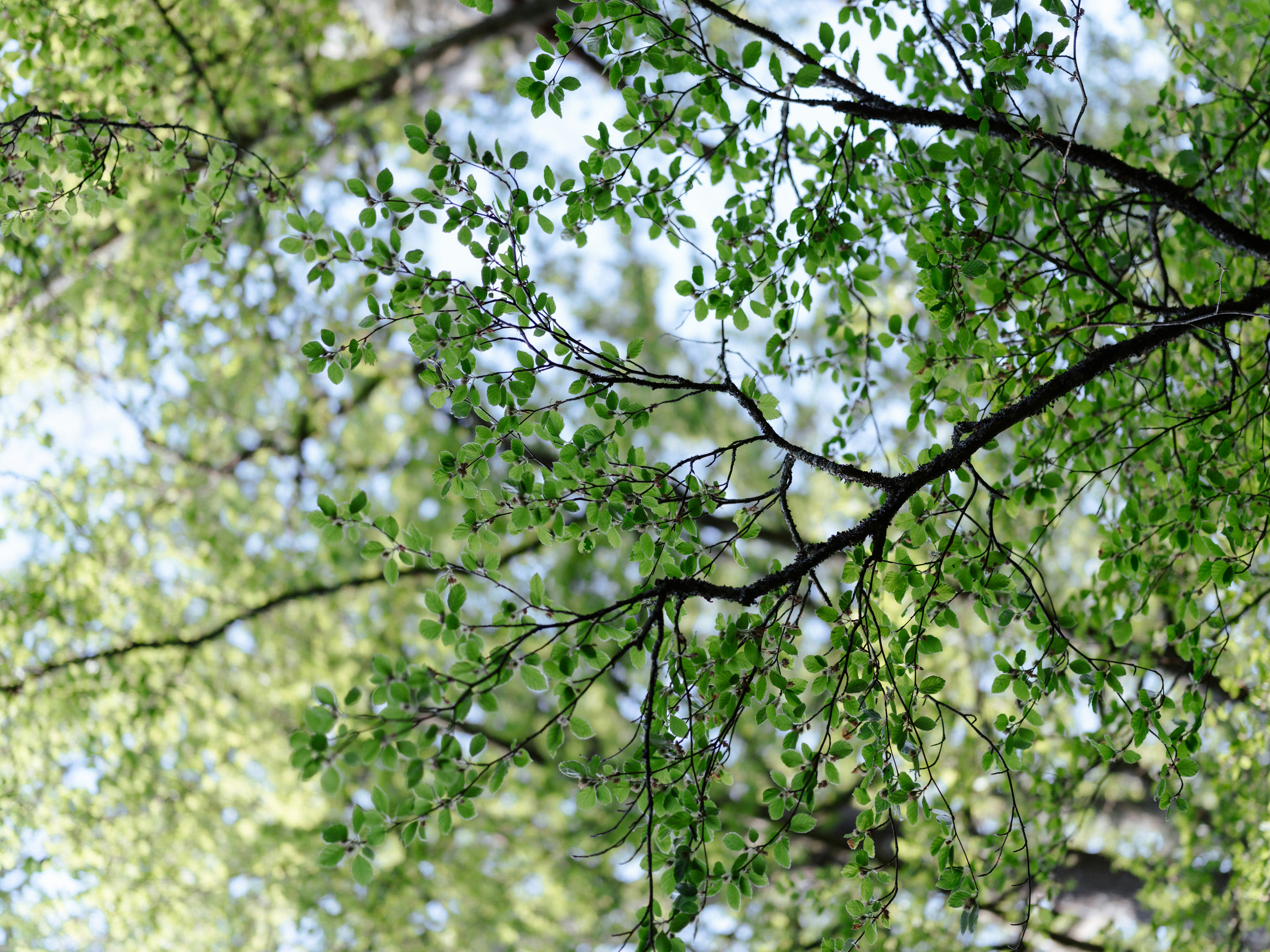 Photo by anniespratt