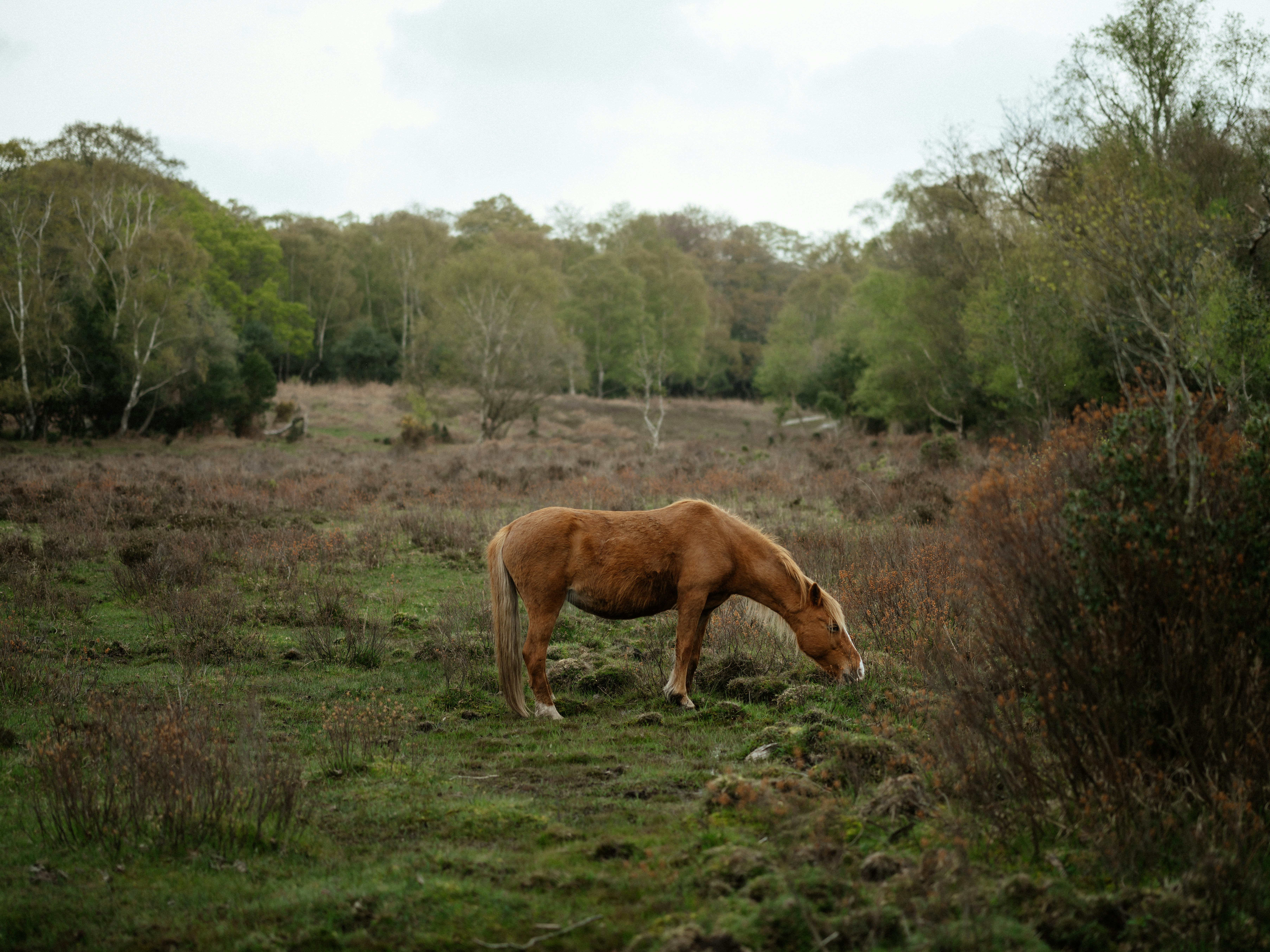 Photo by anniespratt