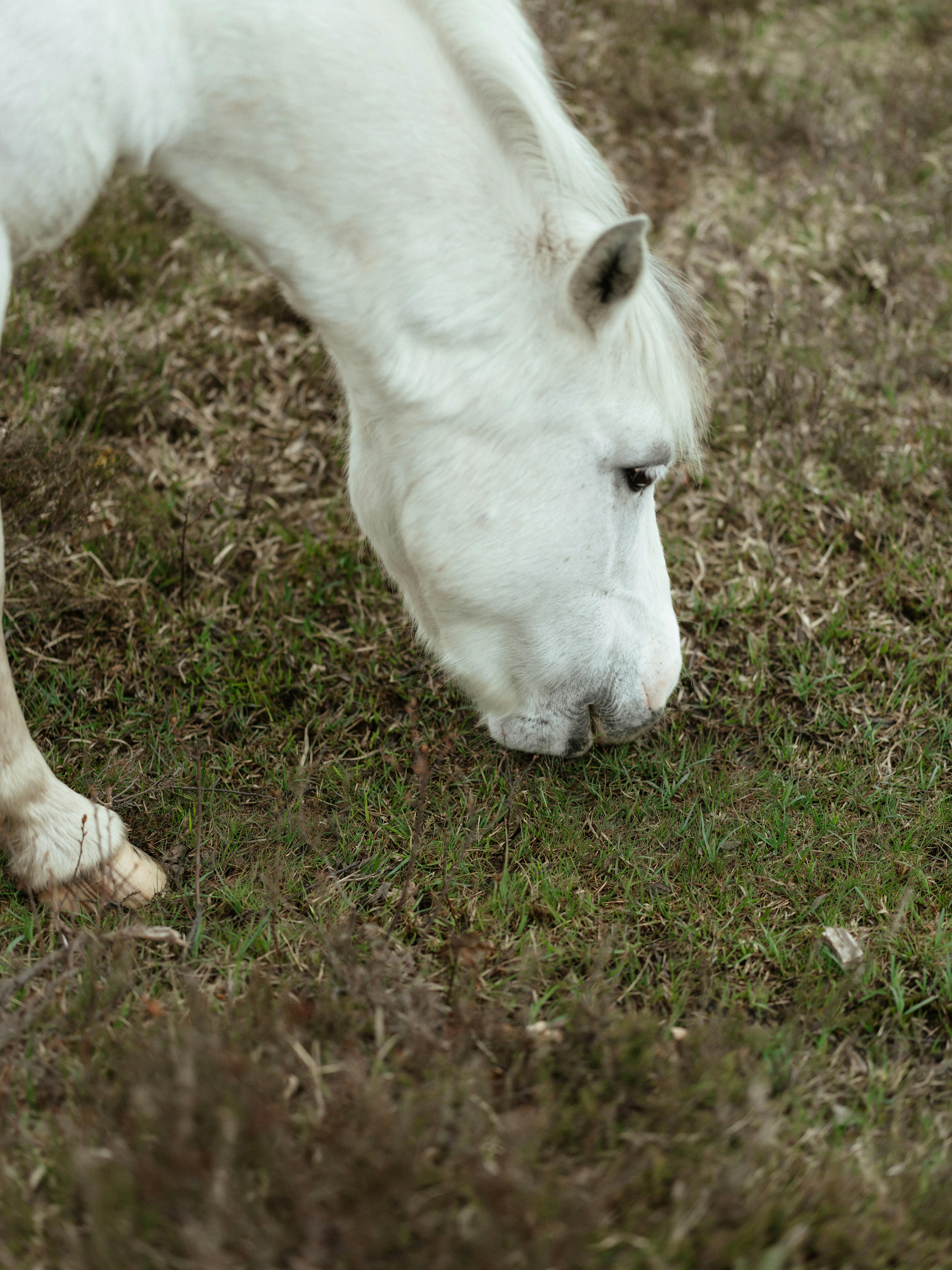 Photo by anniespratt