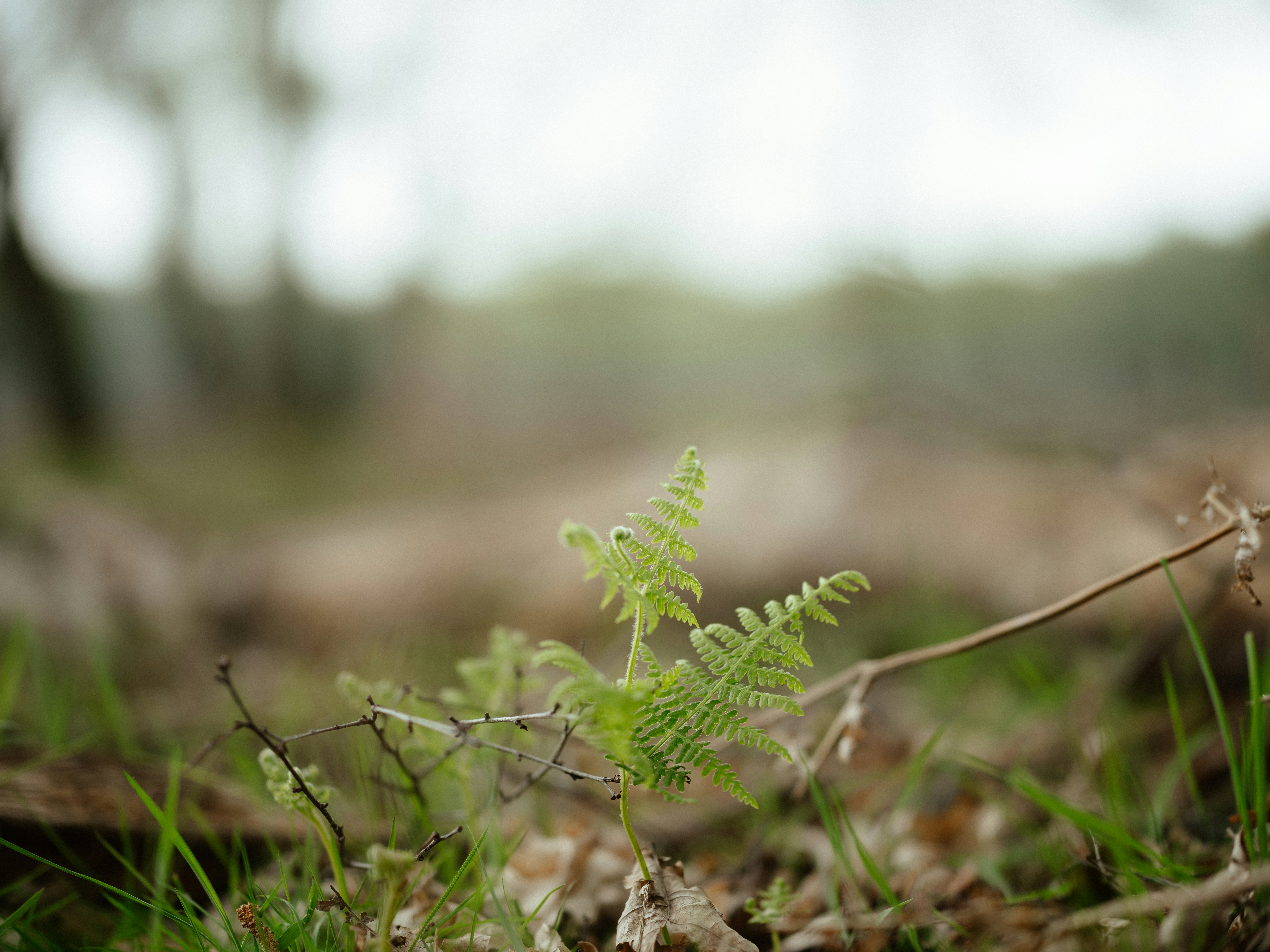 Photo by anniespratt