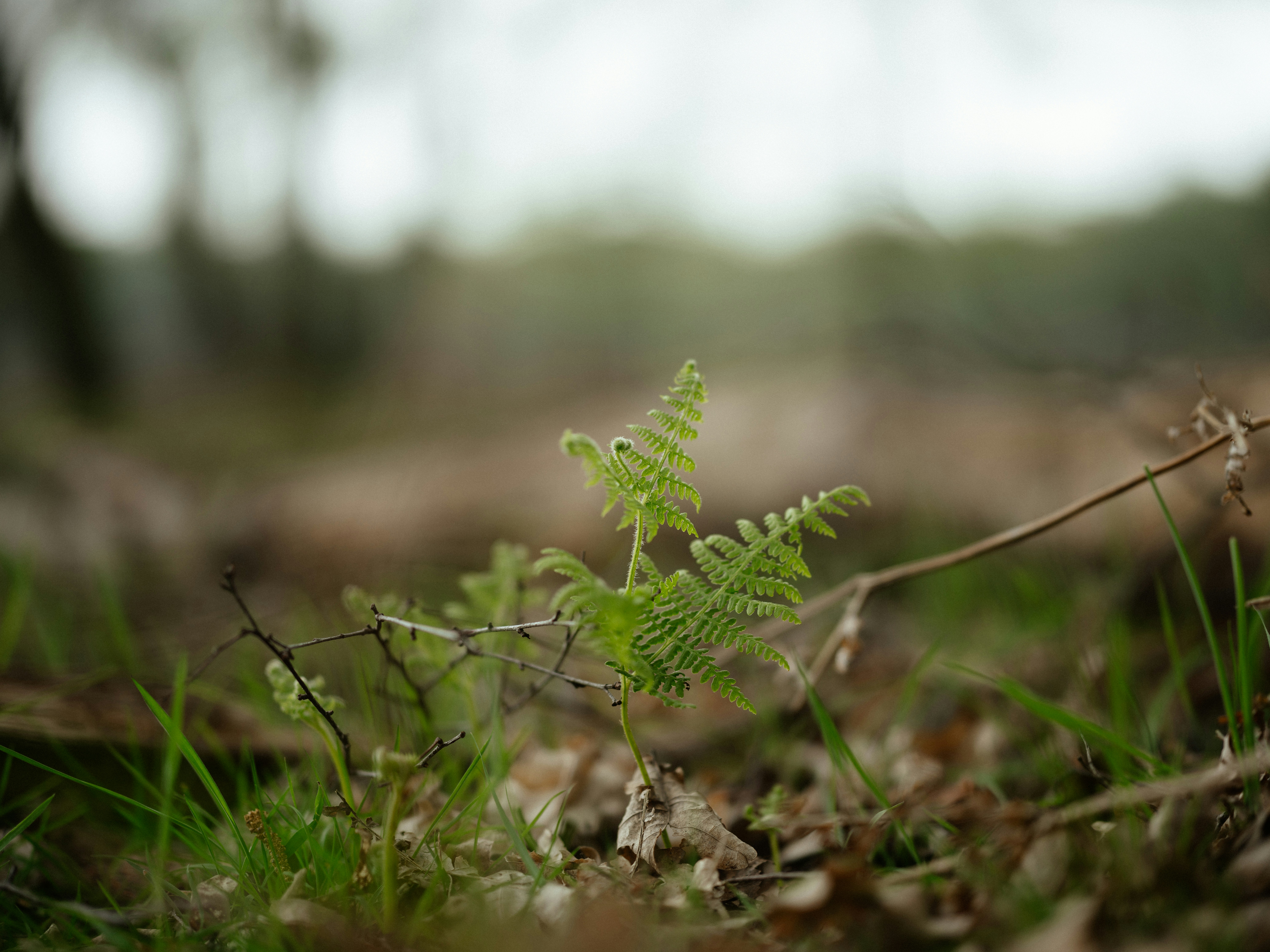 Photo by anniespratt