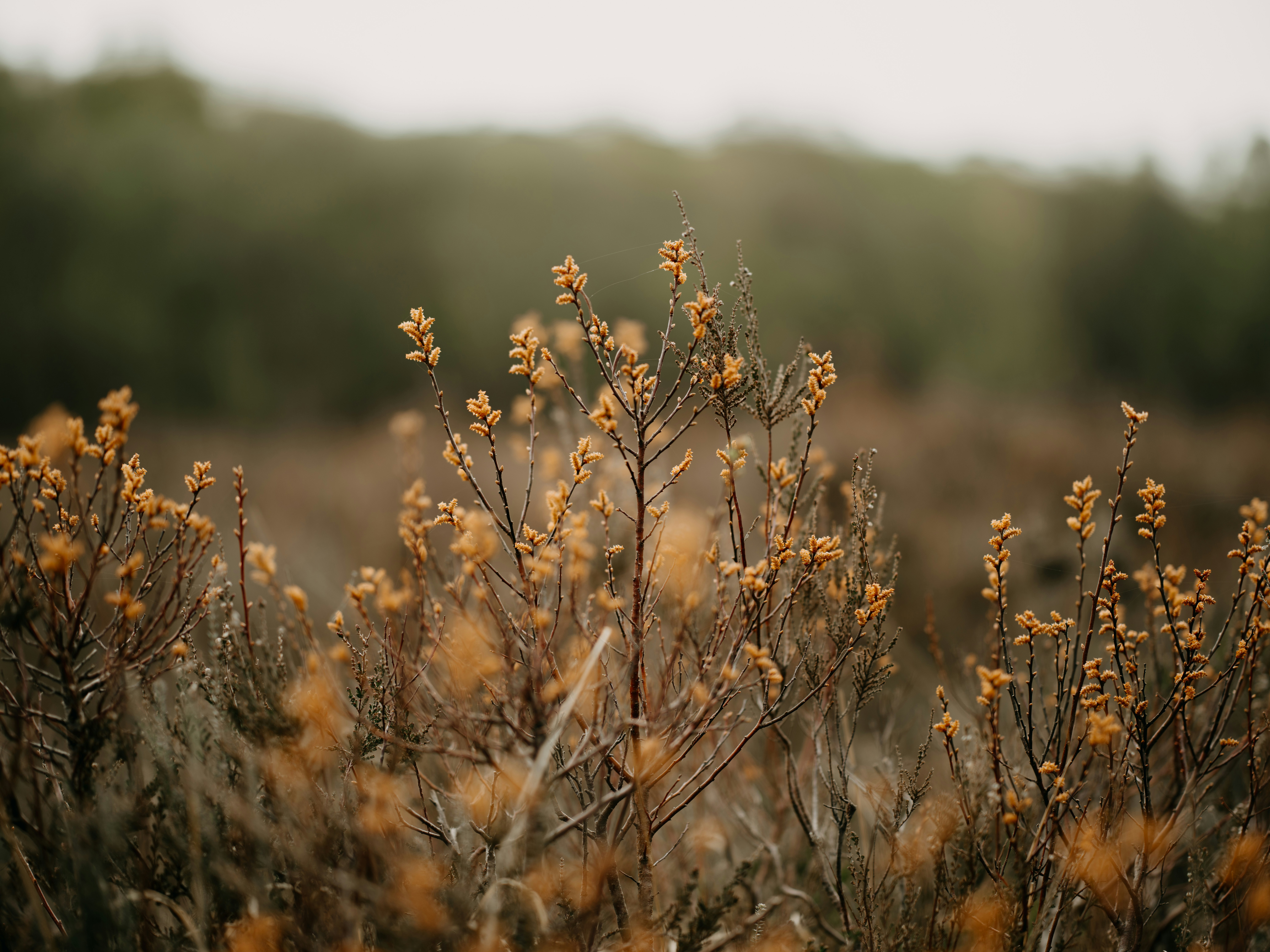 Photo by anniespratt