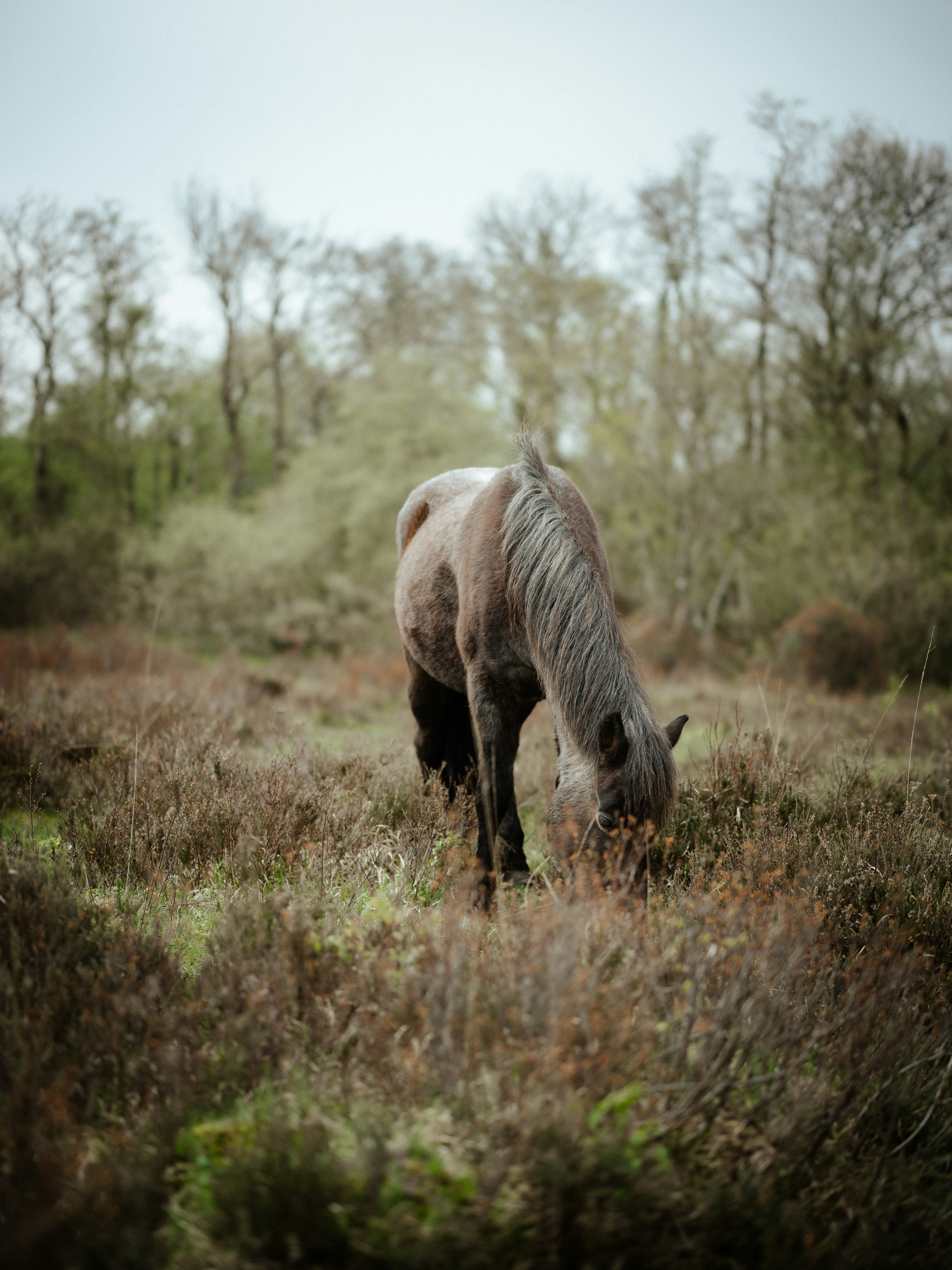 Photo by anniespratt