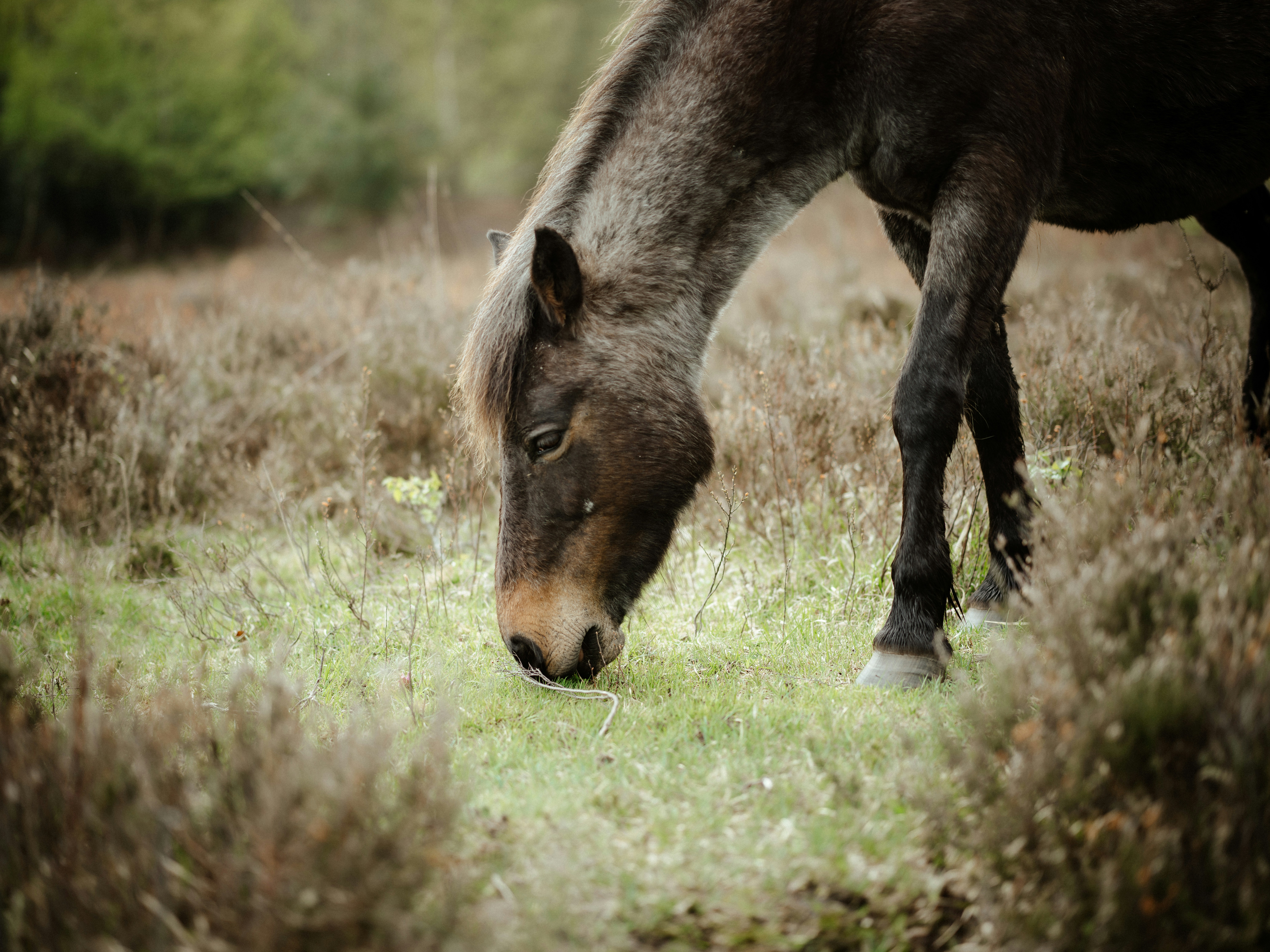 Photo by anniespratt