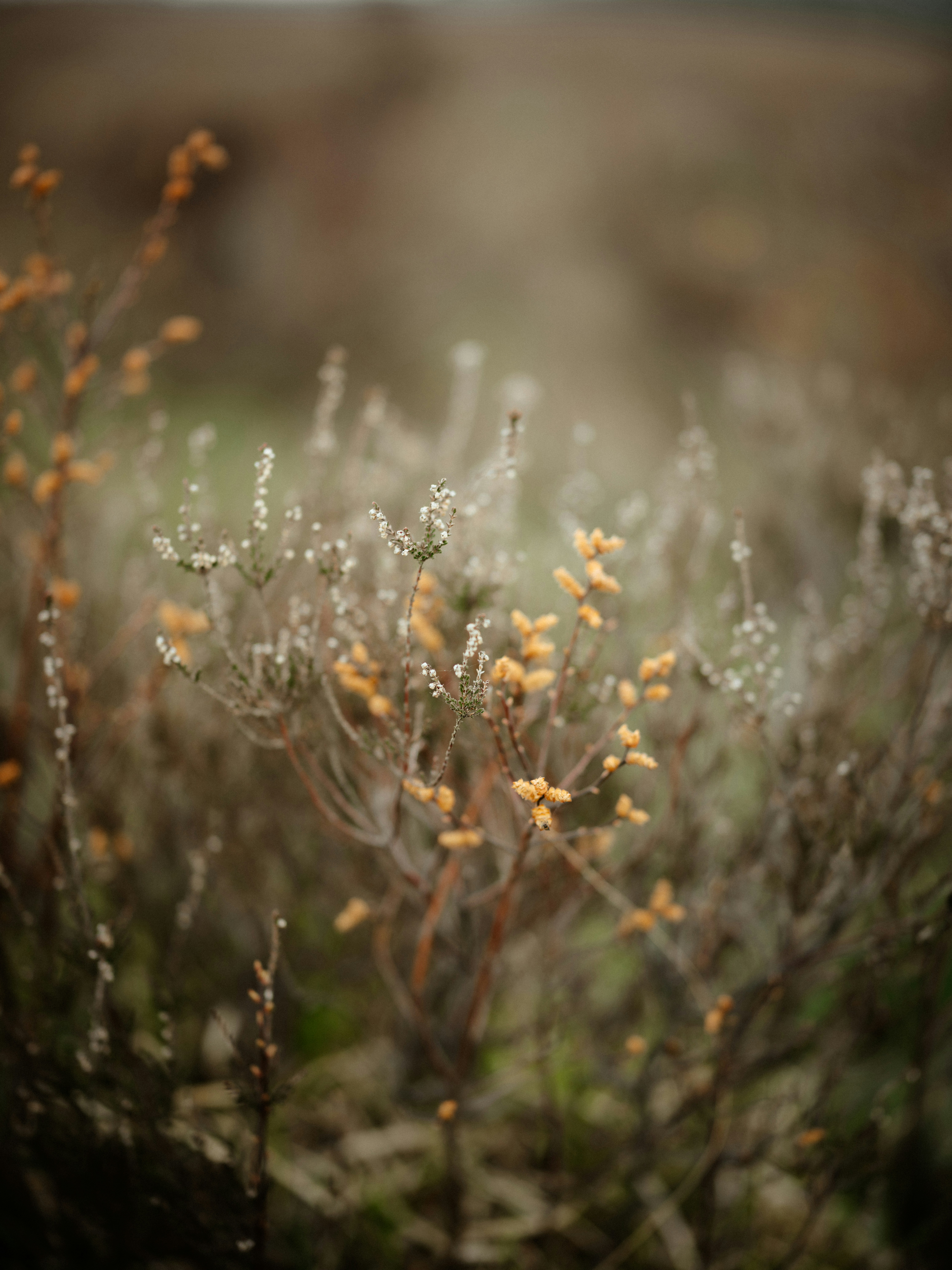 Photo by anniespratt