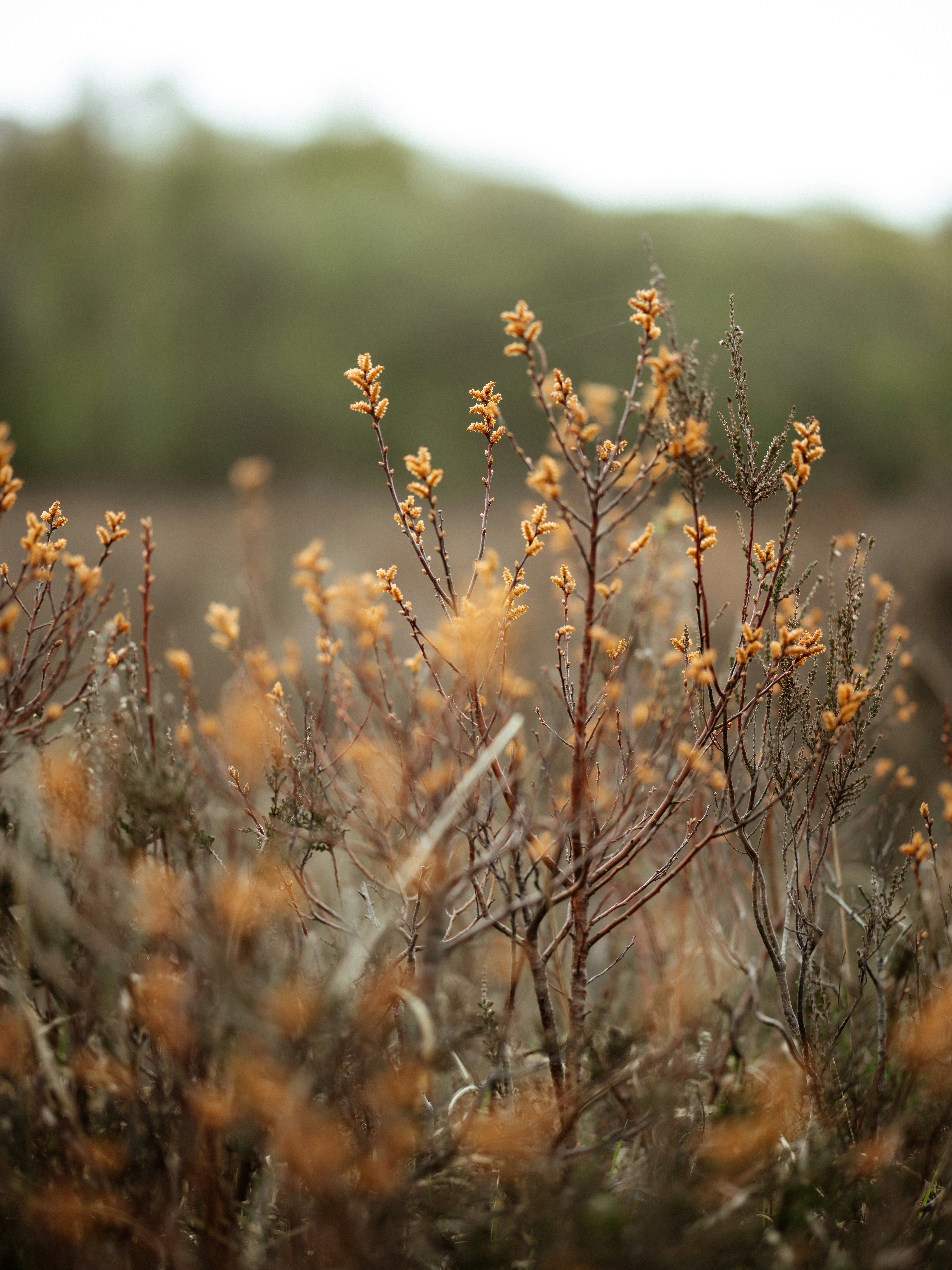 Photo by anniespratt