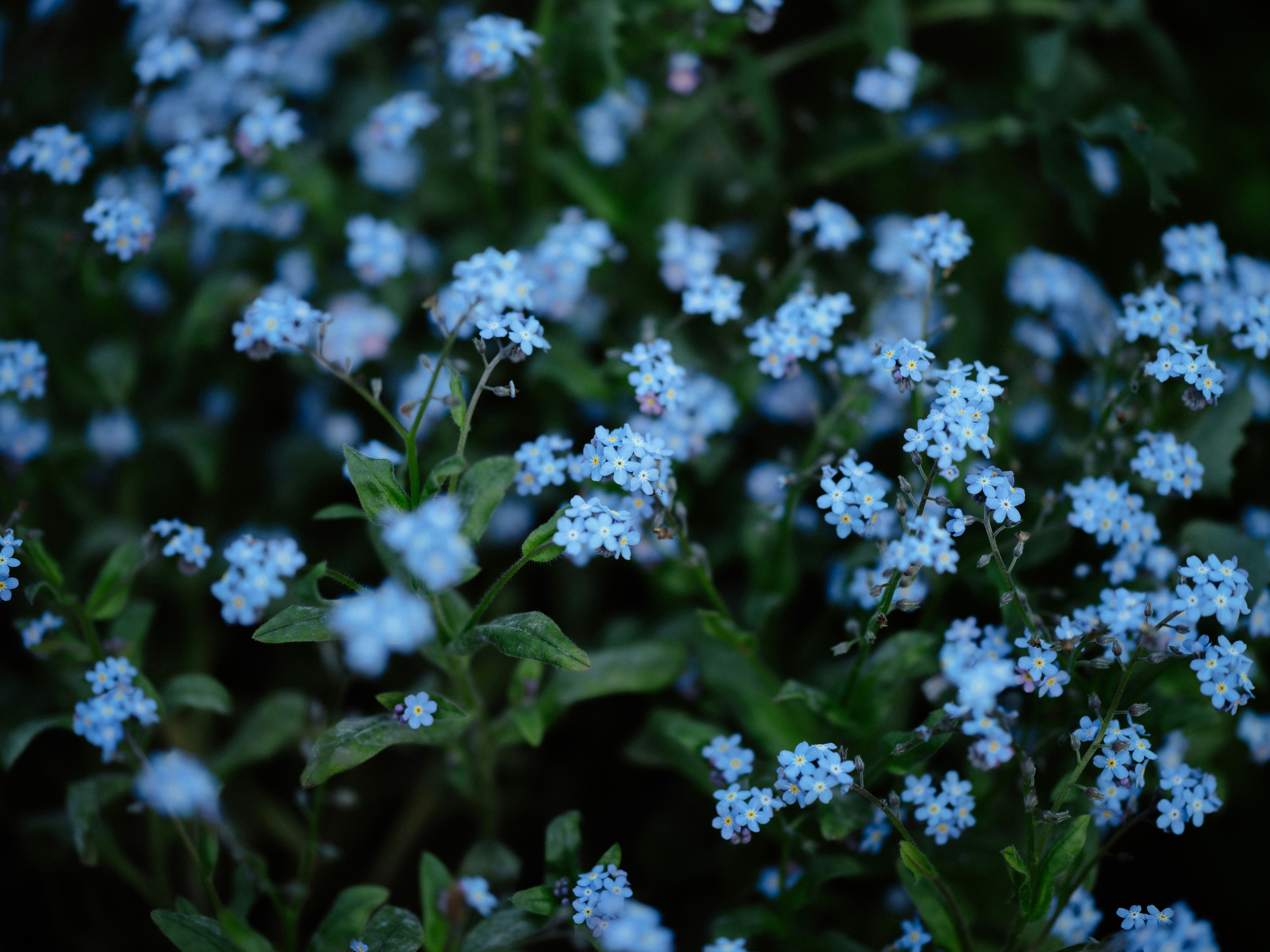 Photo by anniespratt