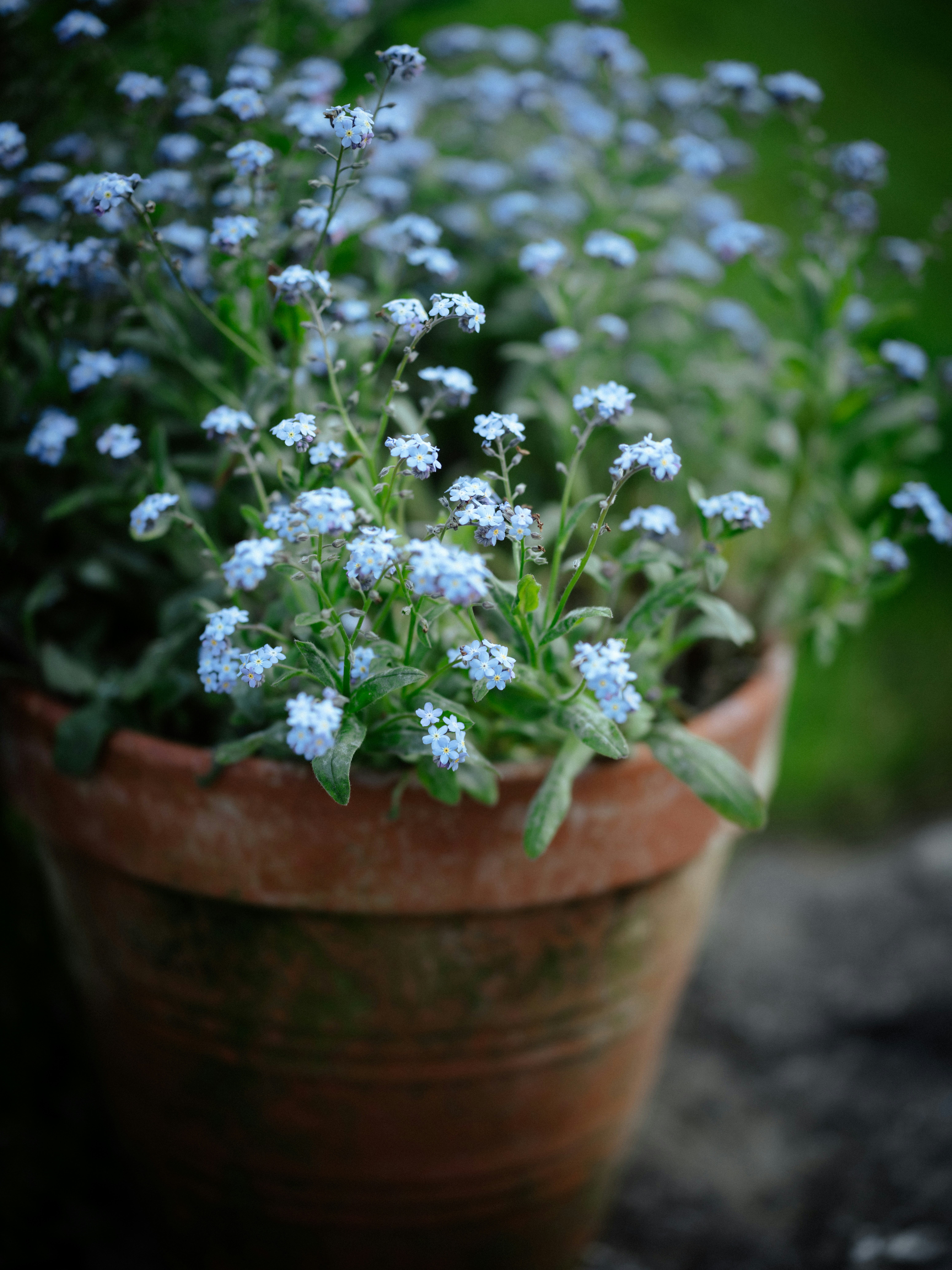 Photo by anniespratt