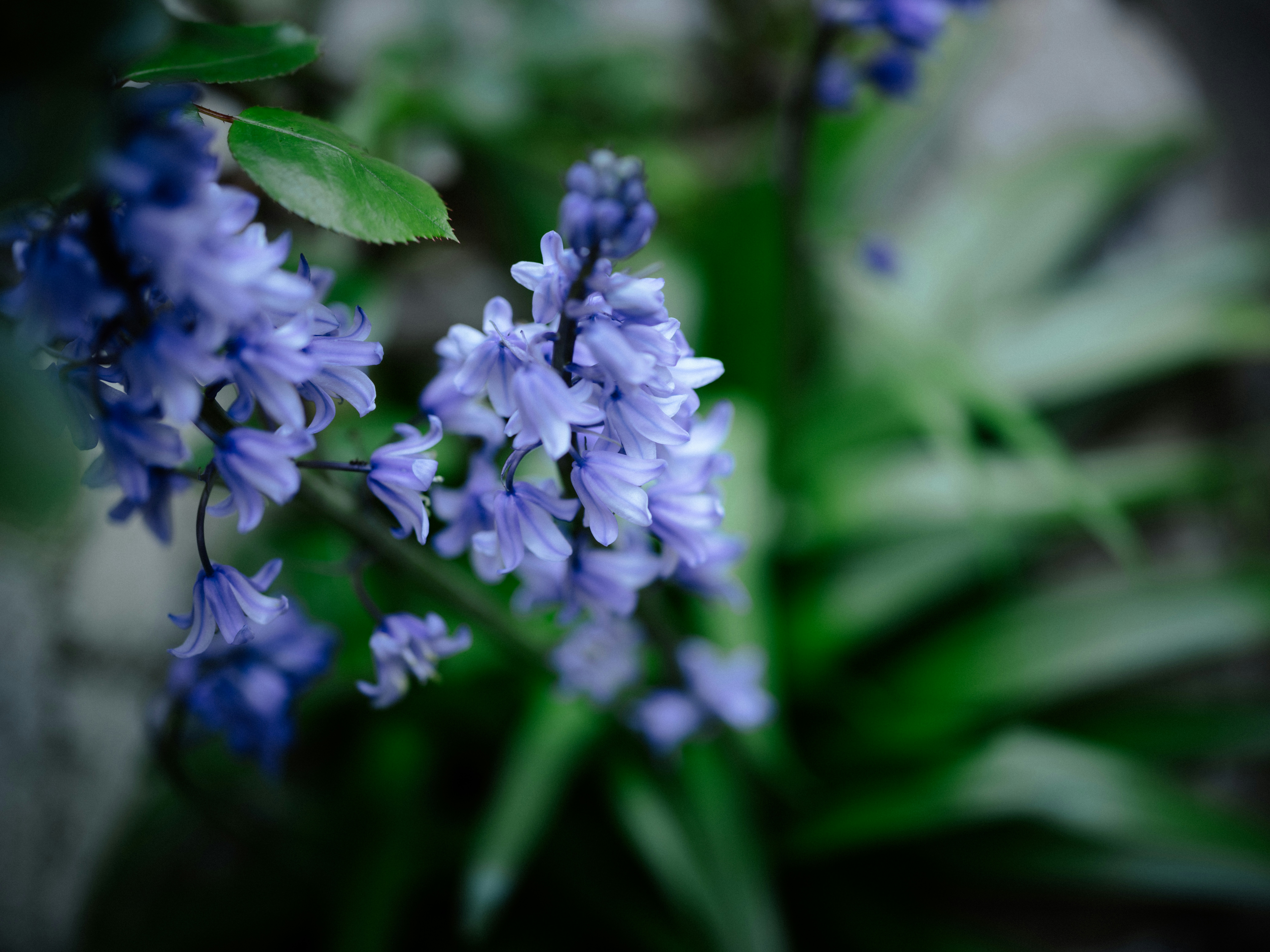 Photo by anniespratt