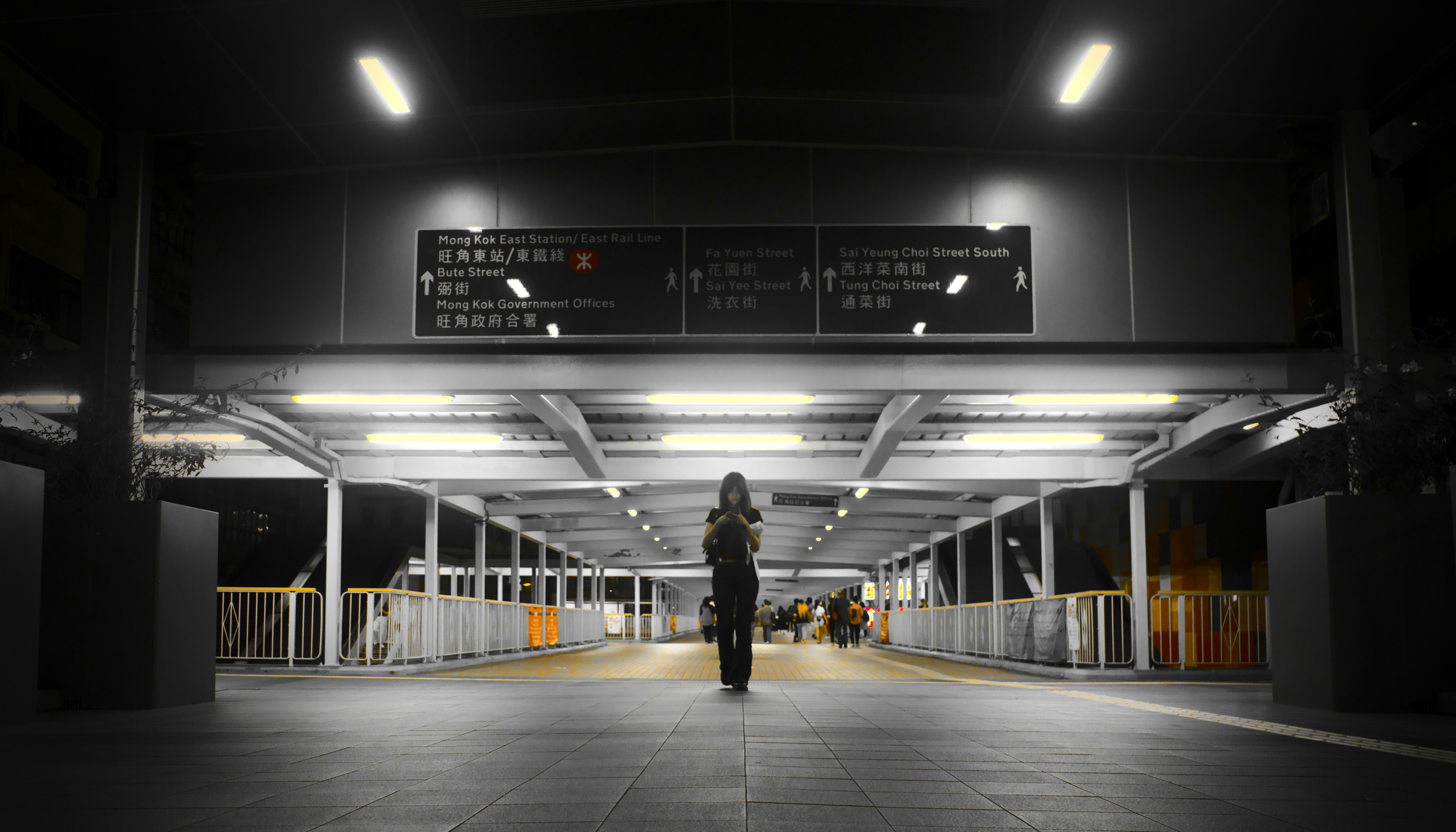 Photo by darklight2021