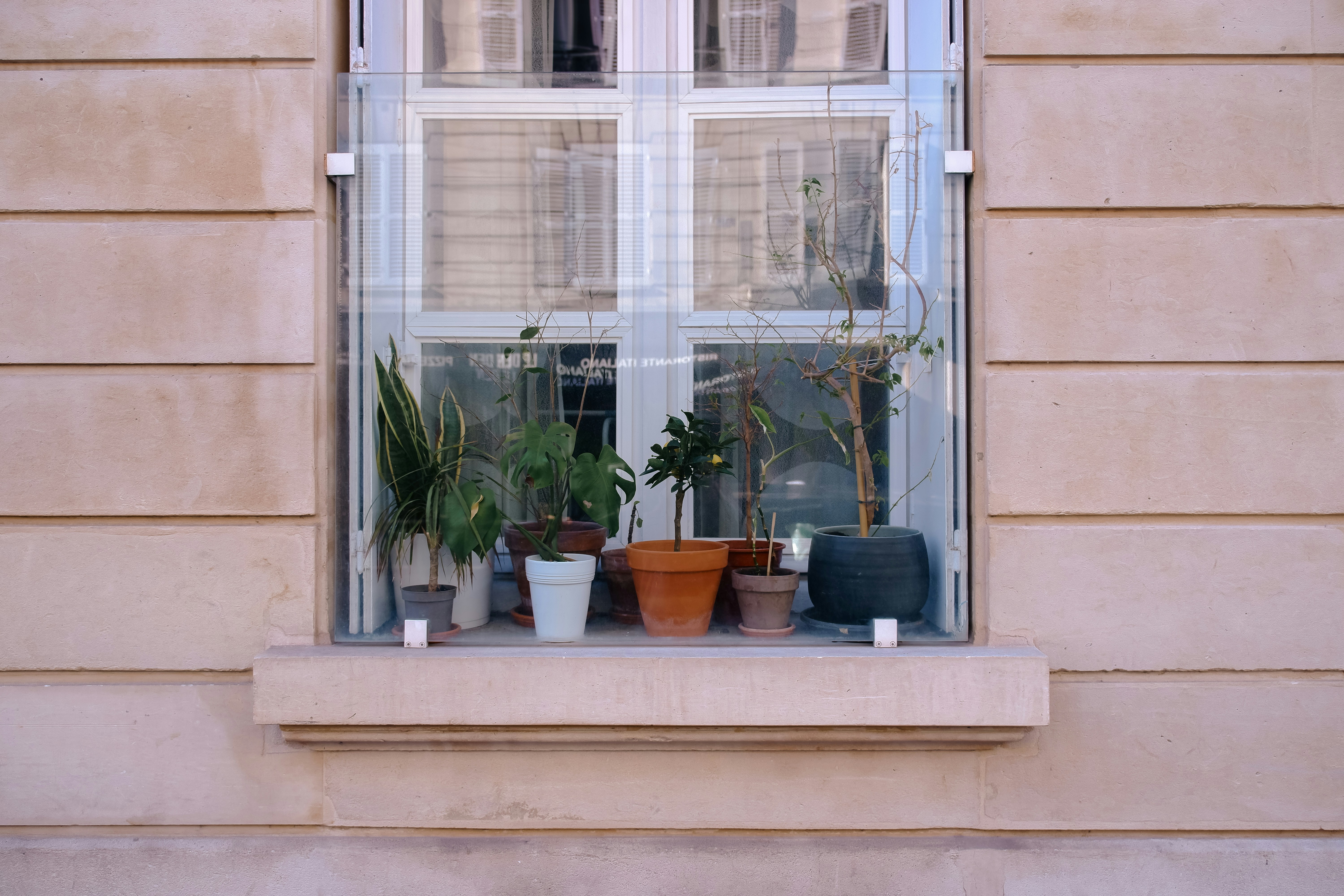 Modern home with ceramic window film